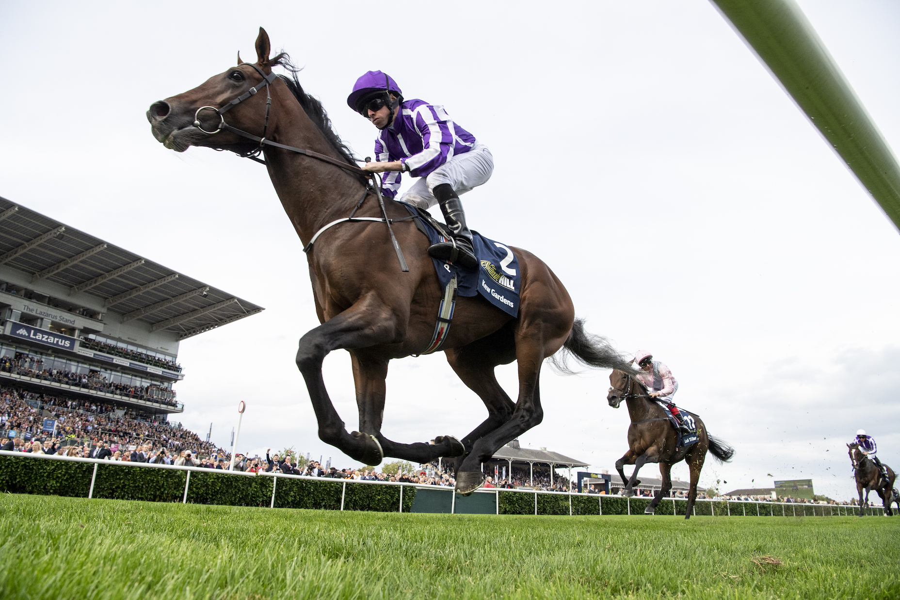 Kew Gardens, a son of Chelsea Rose by Galileo, landing the St Leger at Doncaster in September