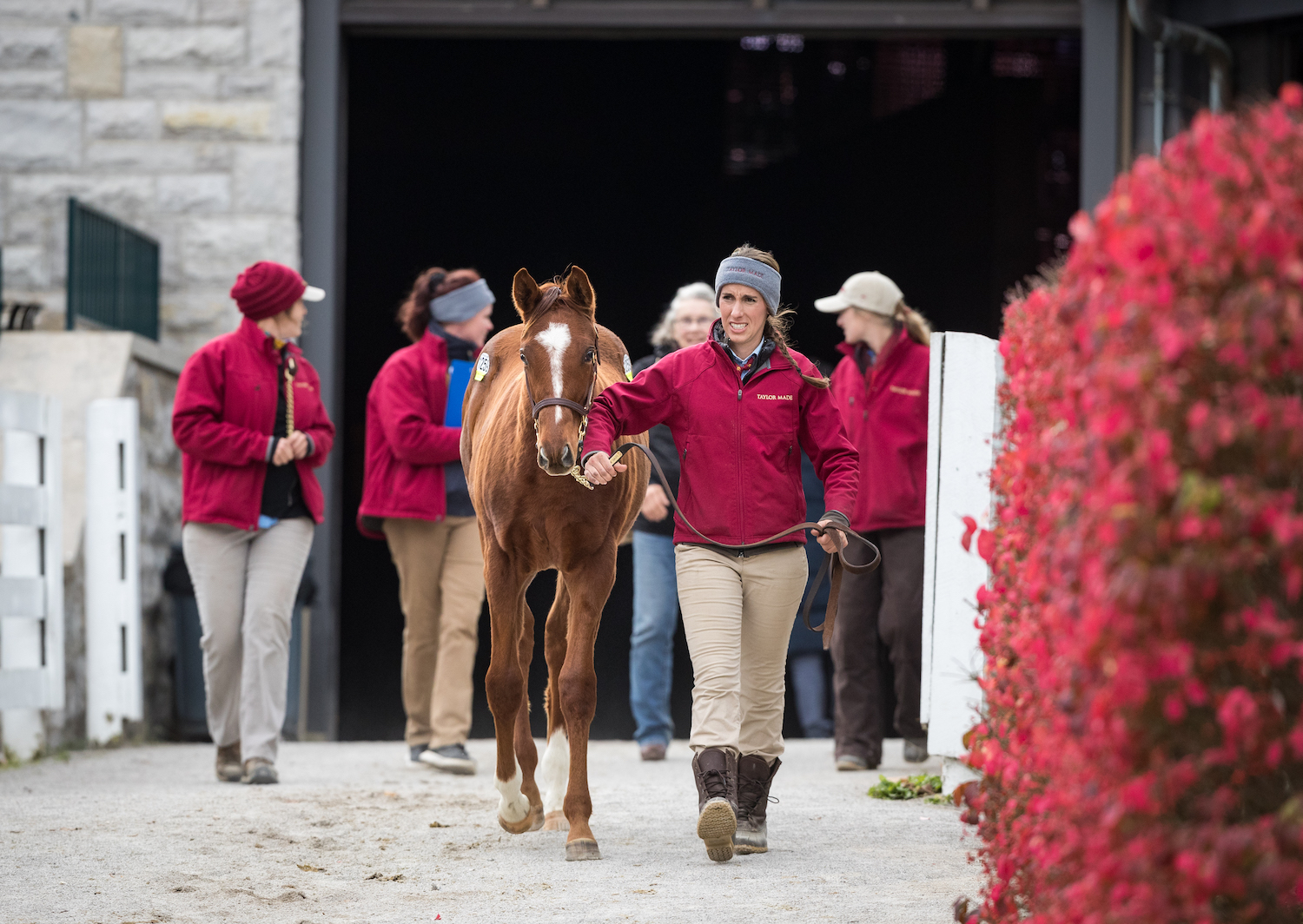 Taylor Made at Keeneland: “Overall, we have a really great team,” says Mark Taylor. “That’s given us the flexibility to take the next step.” Photo: Equi Sport