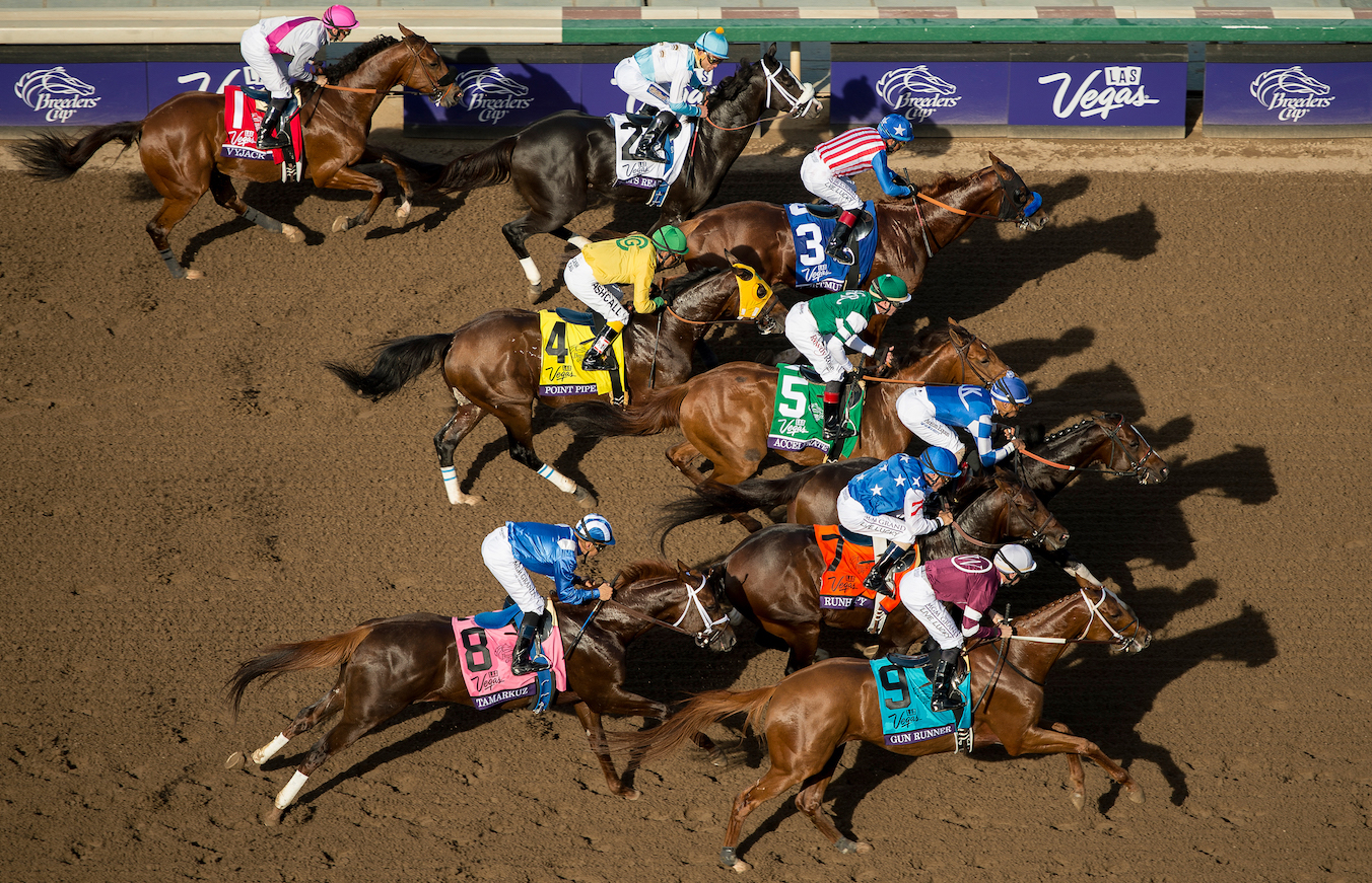 Perfect lighting: Whitaker was on the roof of the stand for this shot 50 yards after the start of the nine-runner Breeders’ Cup Dirt Mile at Santa Anita in 2016. The winner was Tamarkuz (8), ahead of the following year’s Breeders’ Cup Classic hero Gun Runner (9). The race also featured this year’s BC Classic winner, Accelerate (5), who was third