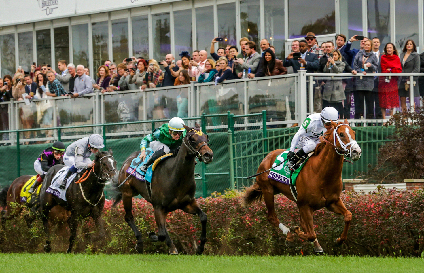 A triumph for the Pletcher methodology: Bulletin wins the first running of the Breeders’ Cup Turf Sprint at Churchill Downs in November. Photo: Casey Phillips/Eclipse Sportswire/CSM