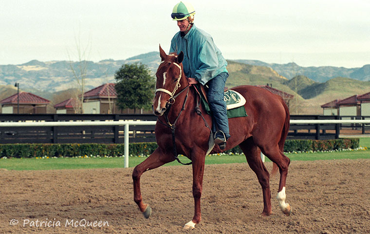 A shot of Secretariat’s Fire from 1993 at trainer D Wayne Lukas’ old training center in Southern California. Photo: Patricia McQueen