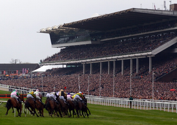 The Cheltenham Festival: “I’ve been going there for over 20 years and it still makes the hairs on the back of my neck stand up,” O’Brien says. Photo: cheltenhamfestival.net