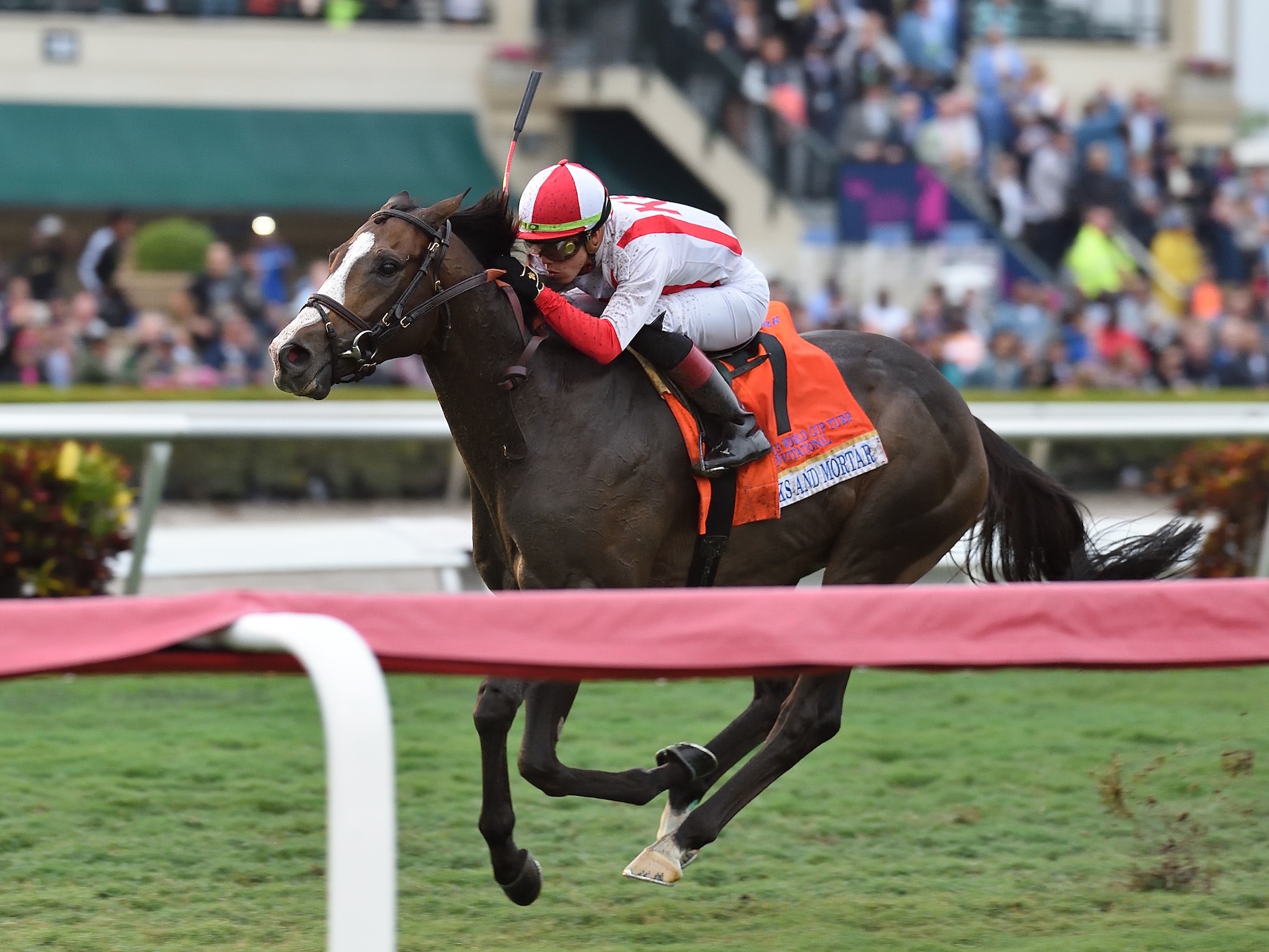 Powering home: Bricks And Mortar (Irad Ortiz) on his way to an impressive success in the inaugural Pegasus World Cup Turf. Photo: Lauren King