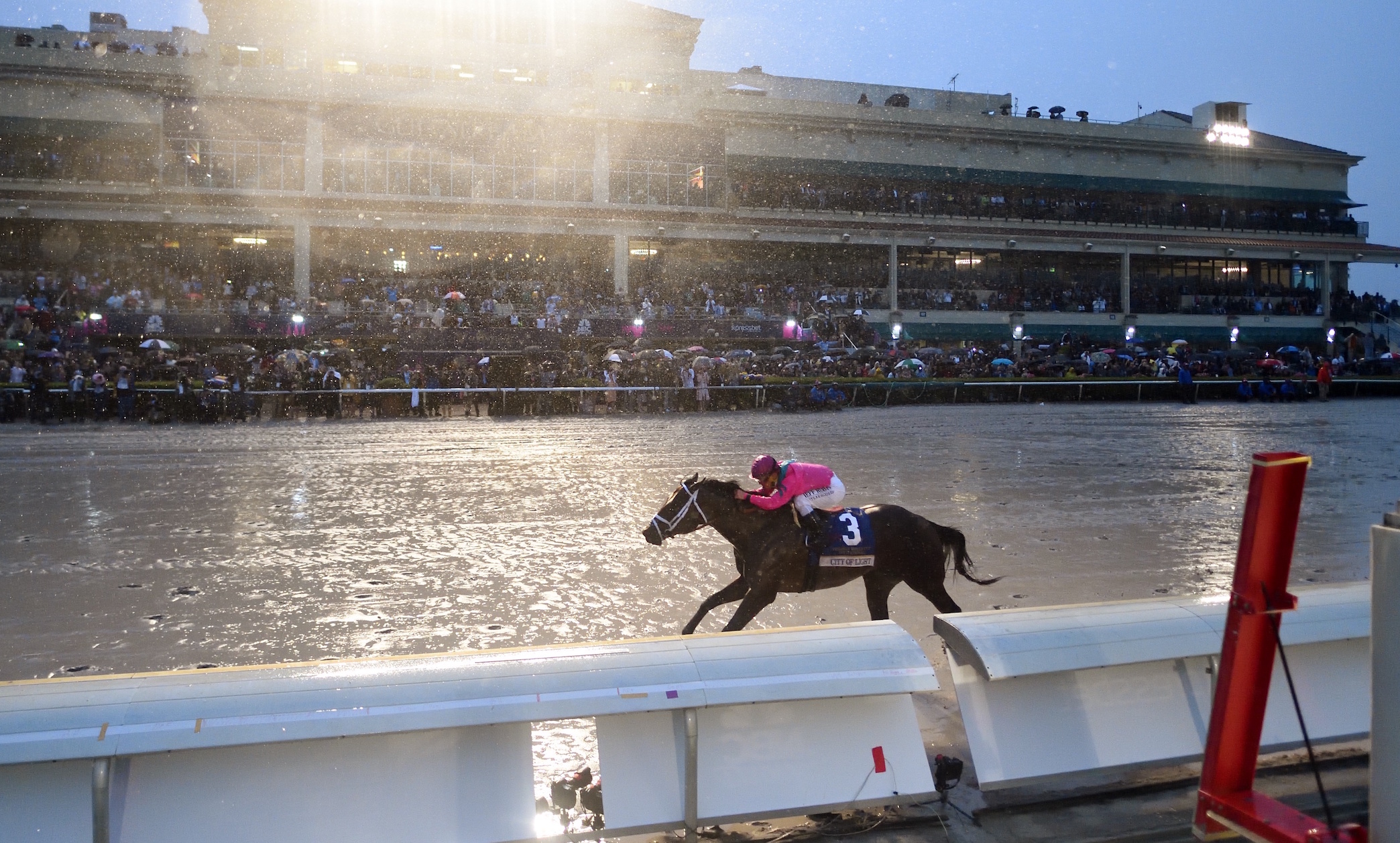 Stretching for the line: City Of Light is out on his own as he races to the line in the Pegasus World Cup Dirt. Photo: Gulfstream Park