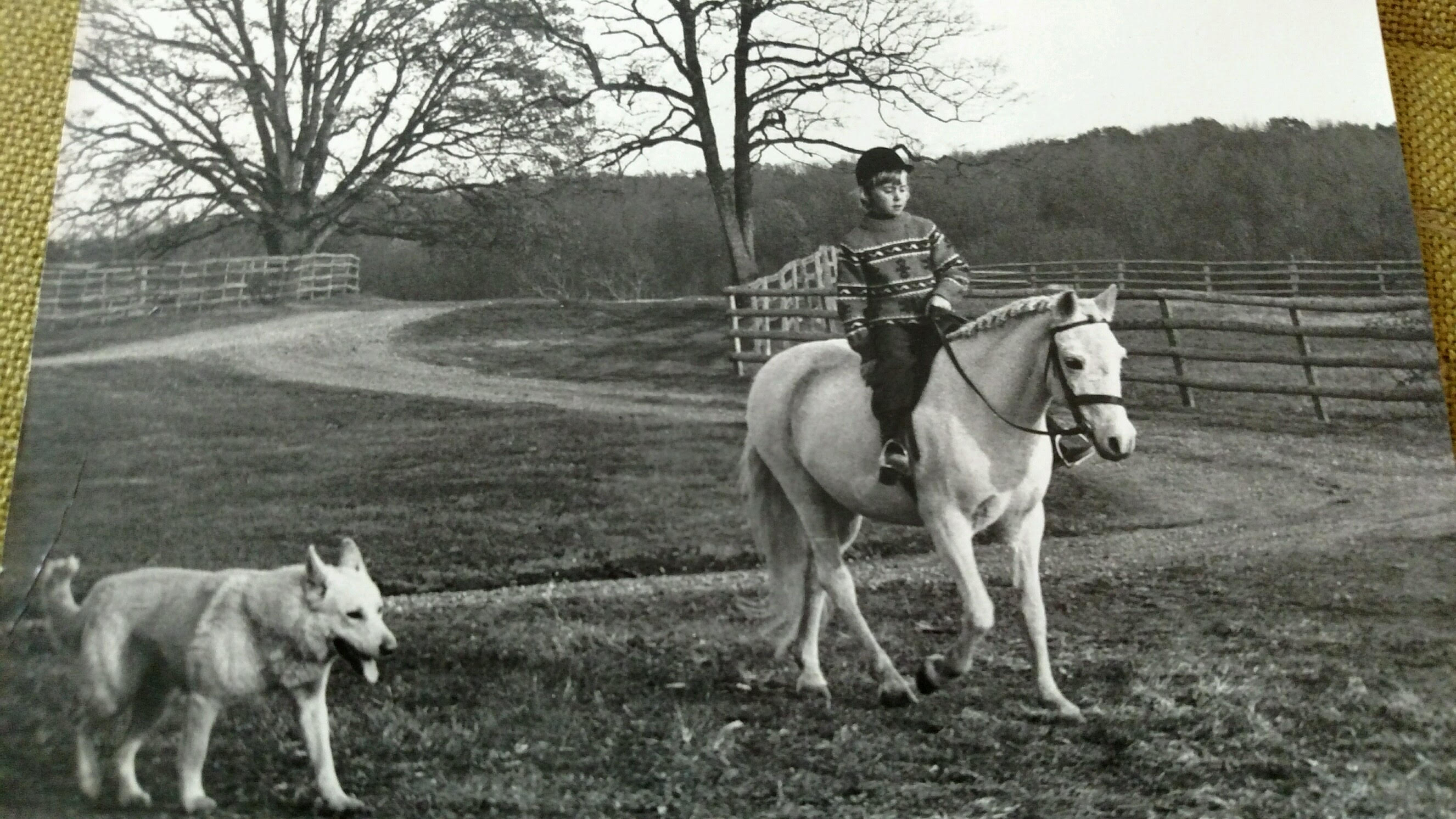 Jill Byrne grew up around surrounded by impressive equines, and soon became ‘addicted to horses’