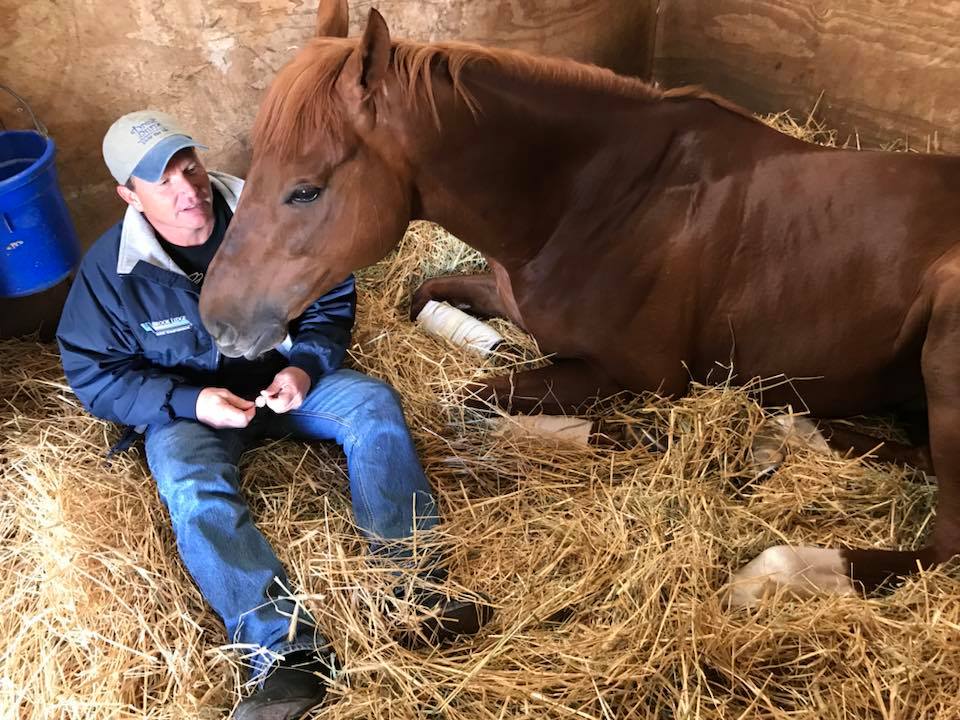 ‘Angus’ with Buff Bradley: “It’s a feelgood story - he did make it, horses can survive this.”