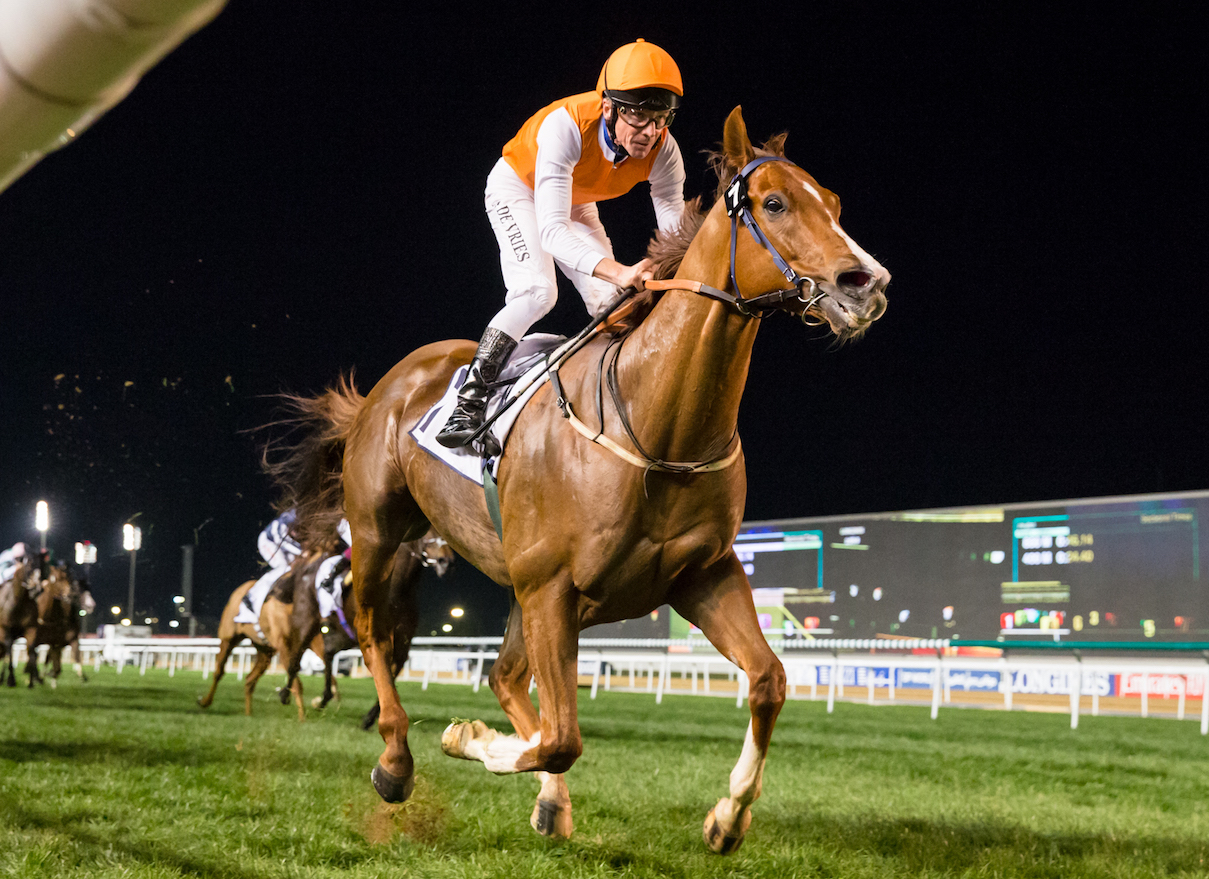 Success at the Carnival: Mazzini winning a six-furlong handicap at Meydan in February. Photo: Dubai Racing Club