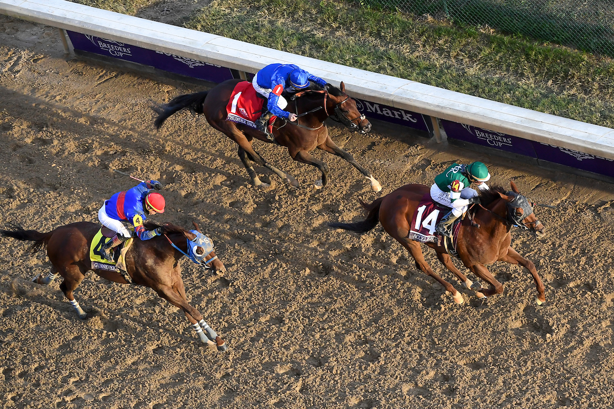 Gunnevera (left) finishing second to Accelerate in the Breeders’ Cup Classic at Churchill Downs last November - ahead of Thunder Snow (top), who is one of the favorites to win the World Cup on Saturday. Photo: John Voorhees/Eclipse Sportswire/CSM /Breeders Cup