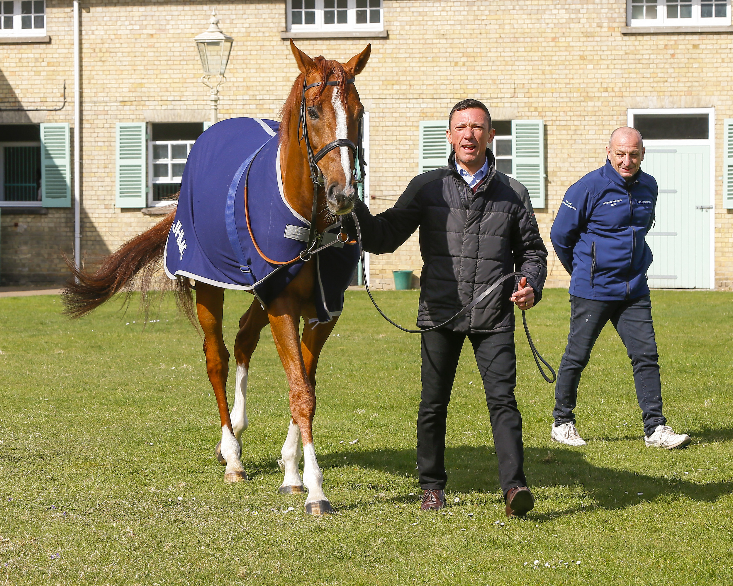 Stradivarius in calmer mood with Dettori at Clarehaven. “He’s bit of  lad,” the jockey said, “but he’s good once you are on board.” Photo: Weatherbys Hamilton