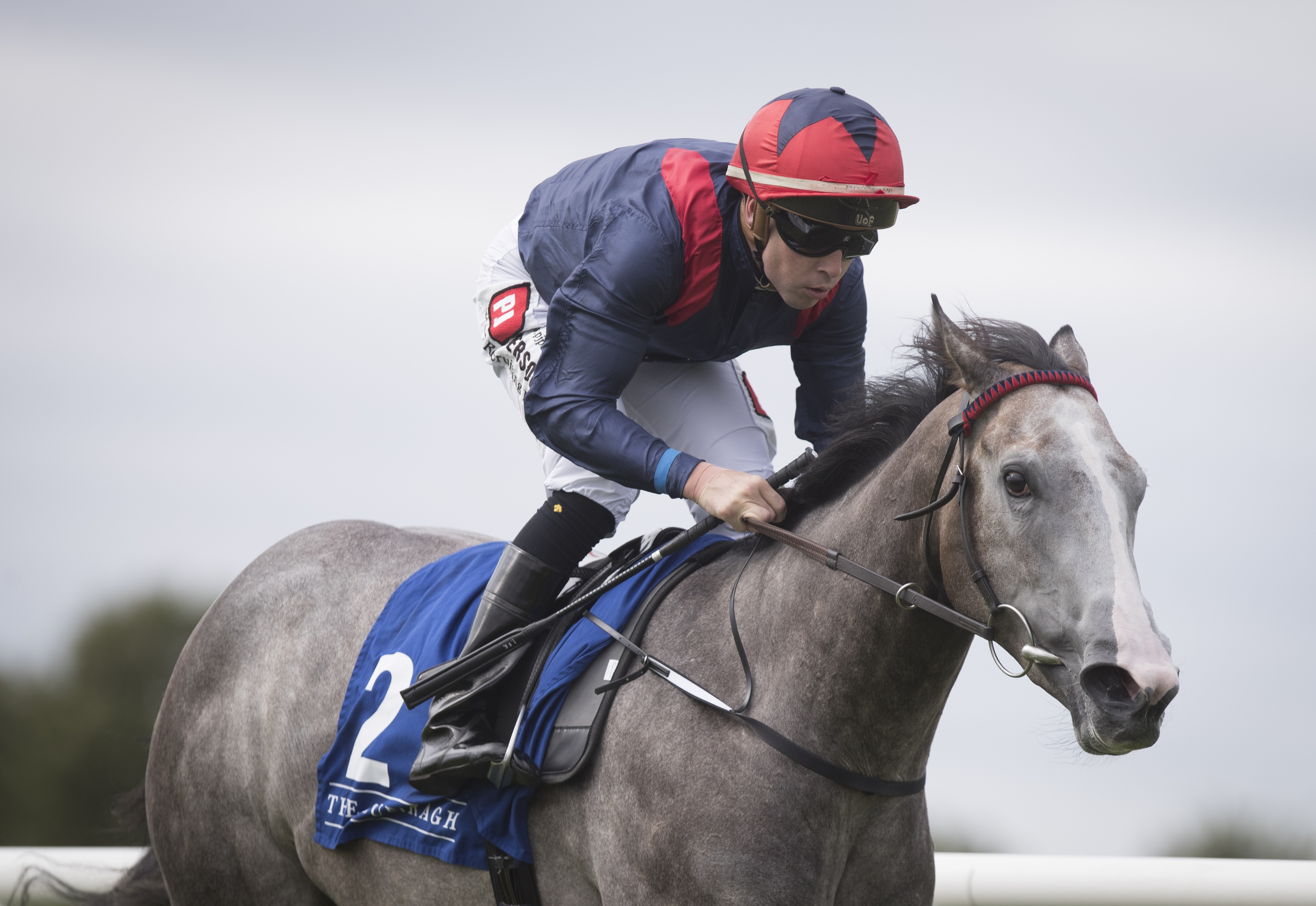 Sale graduate: Angelic Light, another to go through the Goresbridge Breeze-Up in 2018, went on to win a listed race at Newmarket last November. Photo: Irish Thoroughbred Marketing
