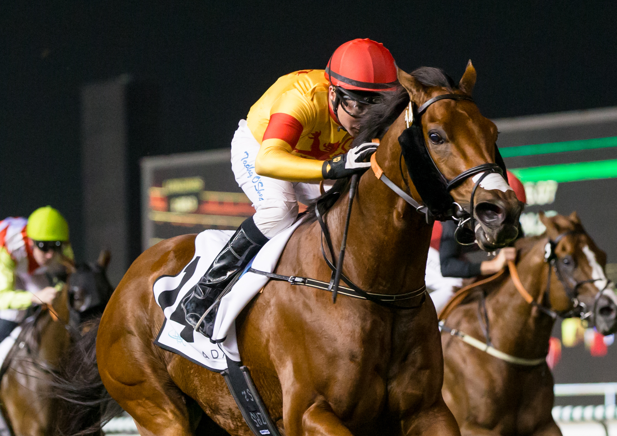 Hot Scot Racing’s Riflescope, ridden  by Tadhg O’Shea, winning at Meydan in February. Photo: Dubai Racing Club/Erika Rasmussen