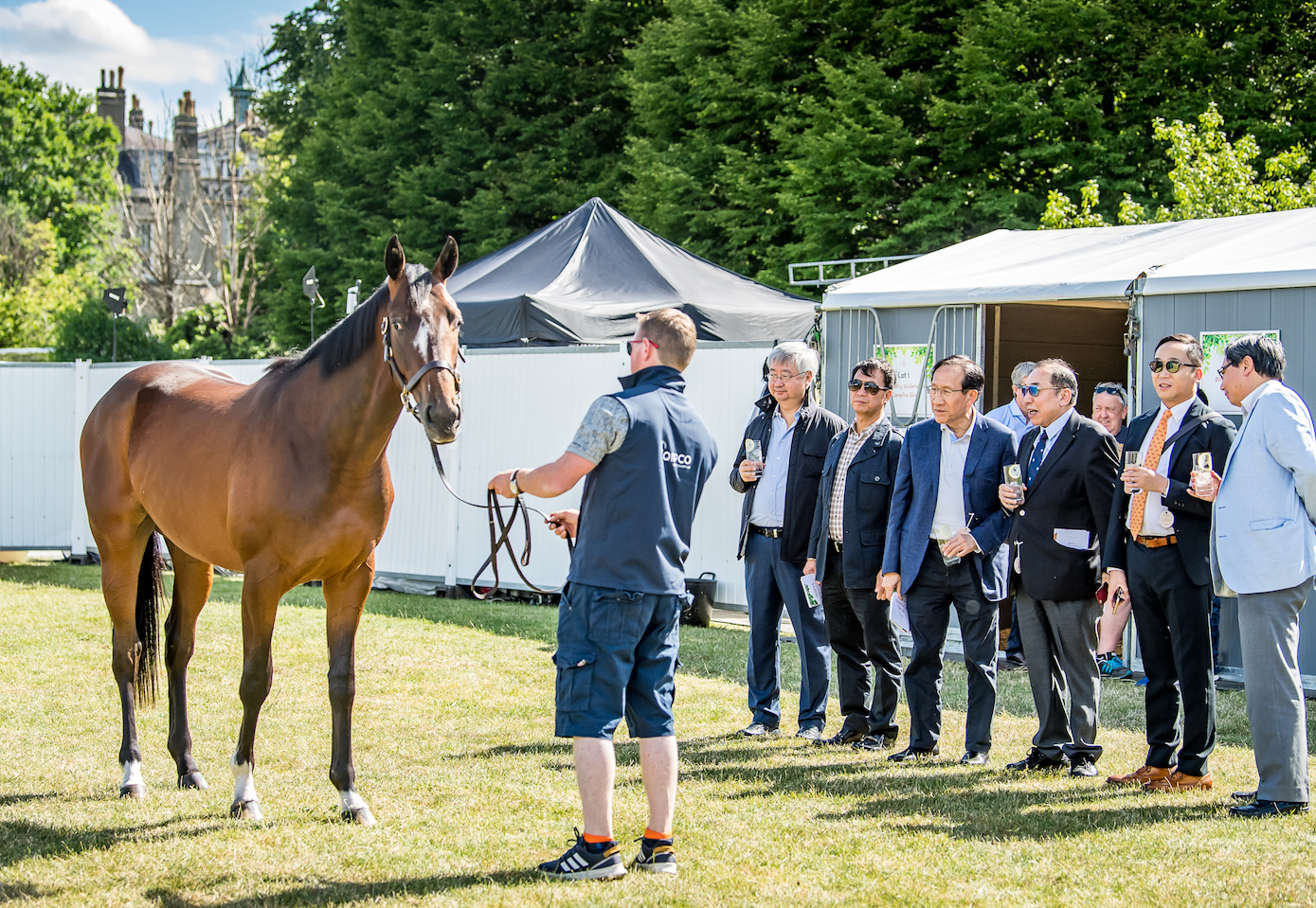 Guests from Hong Kong inspect a mare at last year’s sale. Photo: Sarah Farnsworth