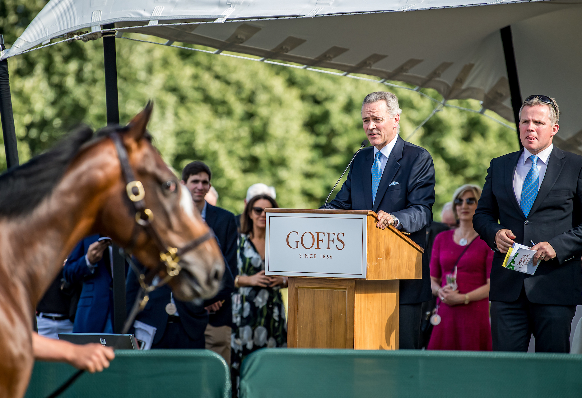 Goffs Group Chief Executive, Henry Beeby, on the rostrum at the 2018 Goffs London Sale. Photo: Sarah Farnsworth