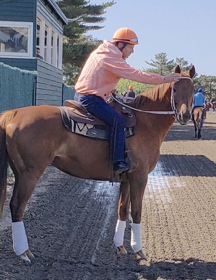 Trainer Kelly Breen with his Belmont hero Ruler On Ice during his time back at his barn last year. Photo courtesy of Kelly Breen