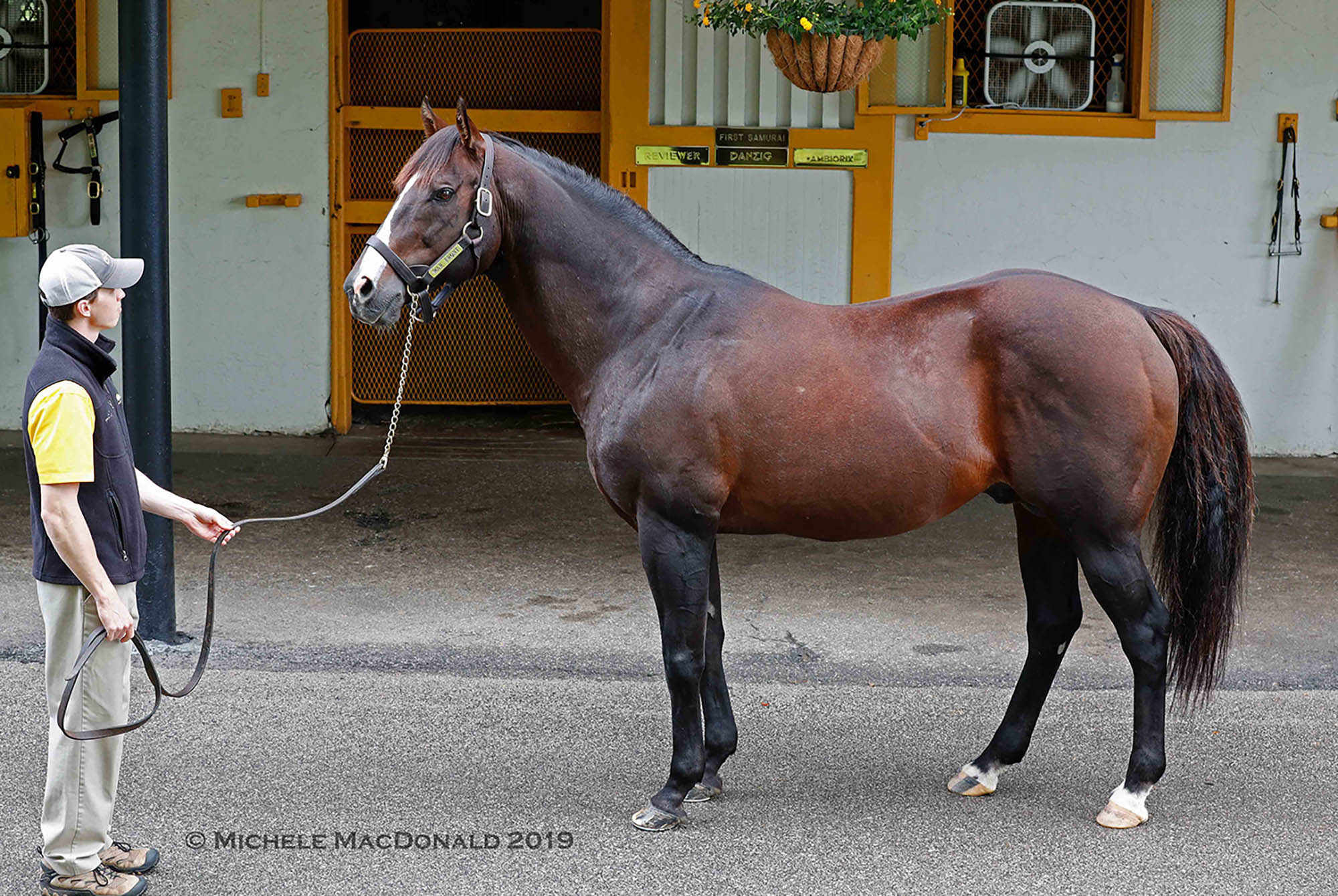 Kyle Johnson with War Front: “If there is a horse that is closer to perfection than this guy, I’d love to meet him some day,” he says. “But I doubt I’ll get that chance.” Photo: Michele MacDonald