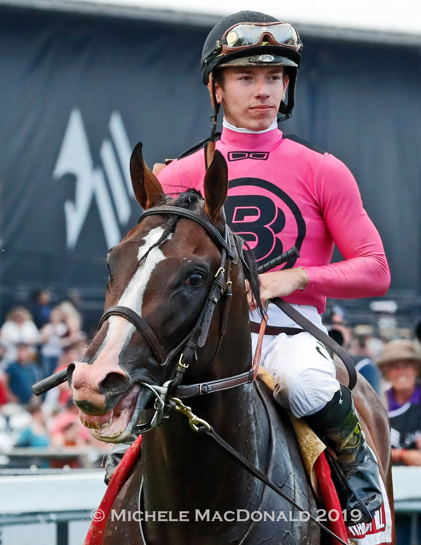 Gaffalione on Belmont favorite War Of Will: “He has all the raw, natural talent, he has the mindset, he has the intelligence. He’s already, in my opinion, one of the stars of the game,” says the rider’s agent, Matt Muzikar. Photo: Michele MacDonald