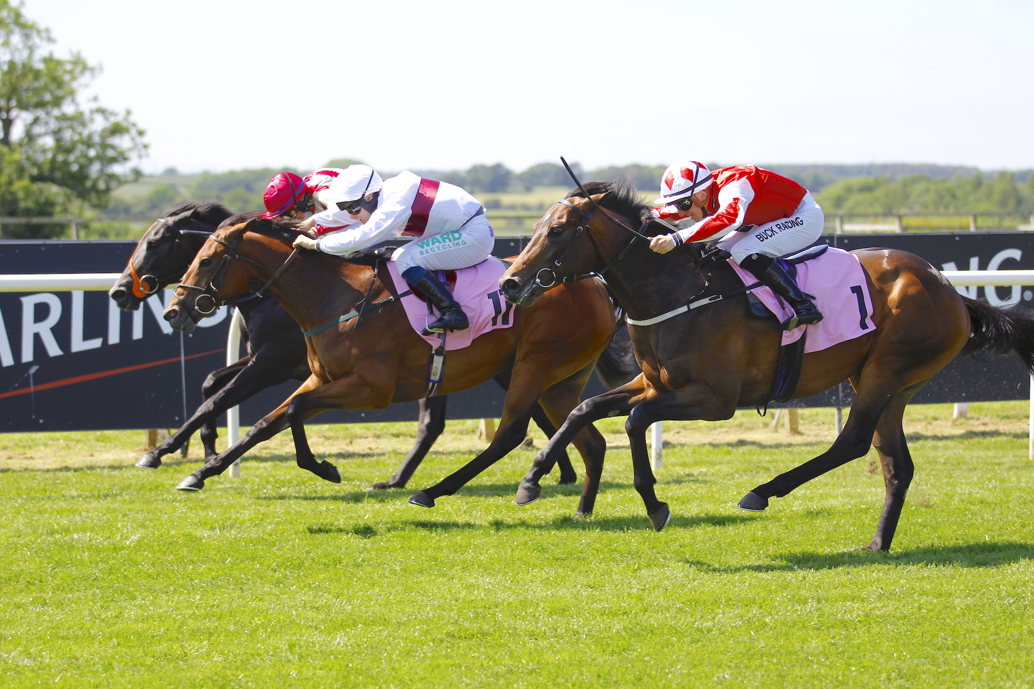 Night Of Thunder filly Keep Busy (white cap), a 34,000-guinea Book 3 purchase, lands her first win a mere ten days before following up with a second. Photo: Racingfotos.com