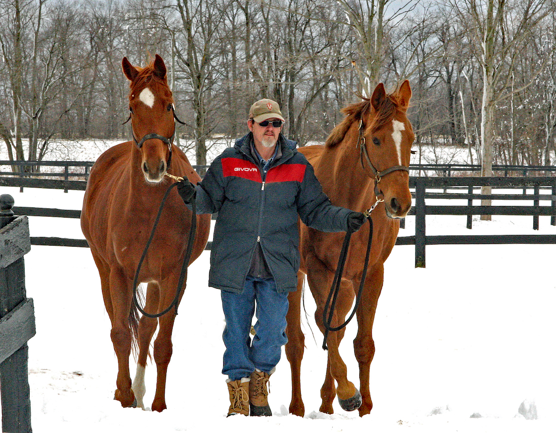 The farm has a small army of volunteers. Photo: Emily Shields