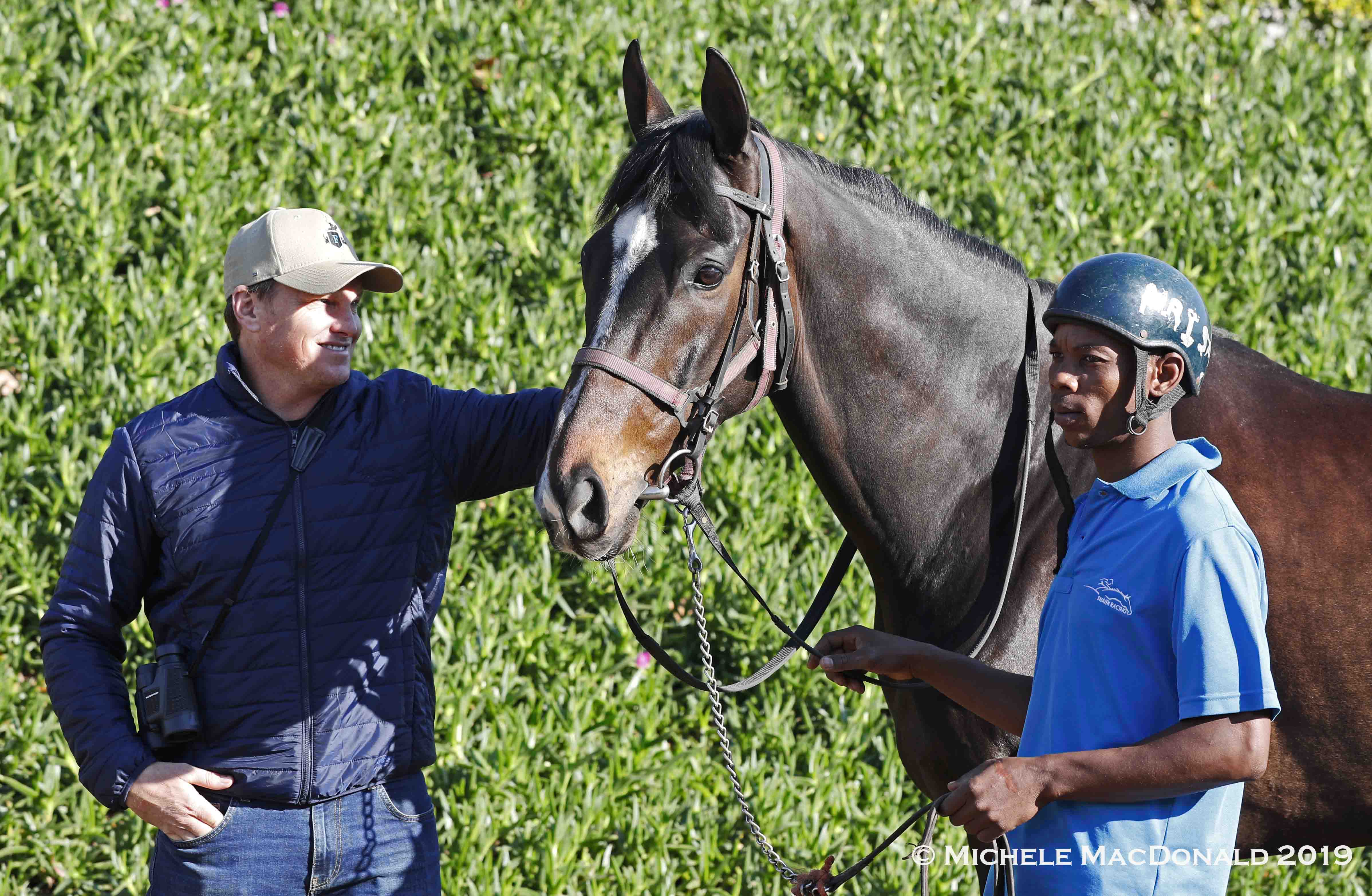 Do It Again with Justin Snaith. The horse’s rise from an unruly colt who was “very difficult” into an elite runner after being gelded is perhaps the trainer’s greatest achievement to date. Photo: Michele MacDonald