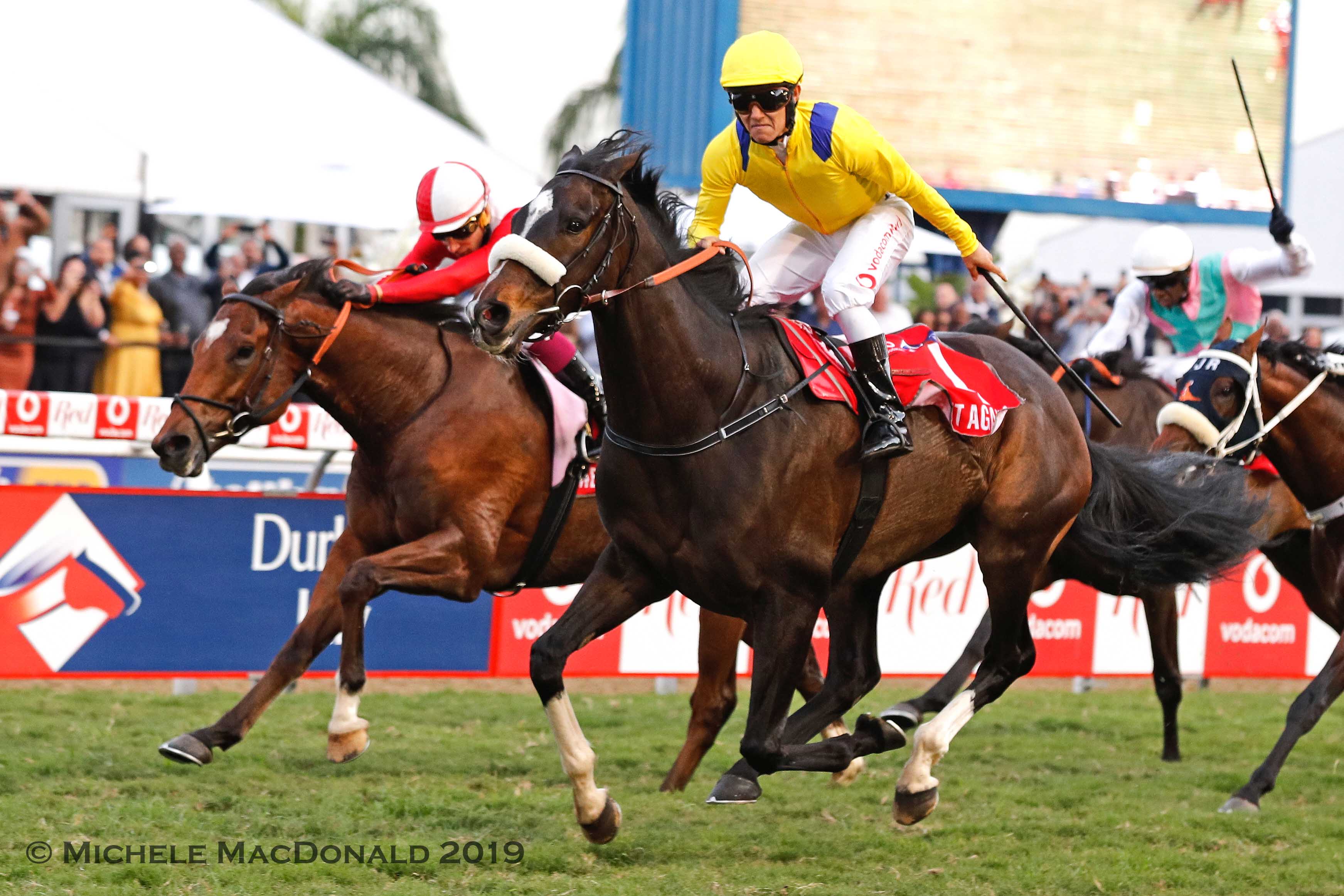 Champion once more: Do It Again and a jubilant Richard Fourie take the Durban July under top weight. Photo: Michele MacDonald