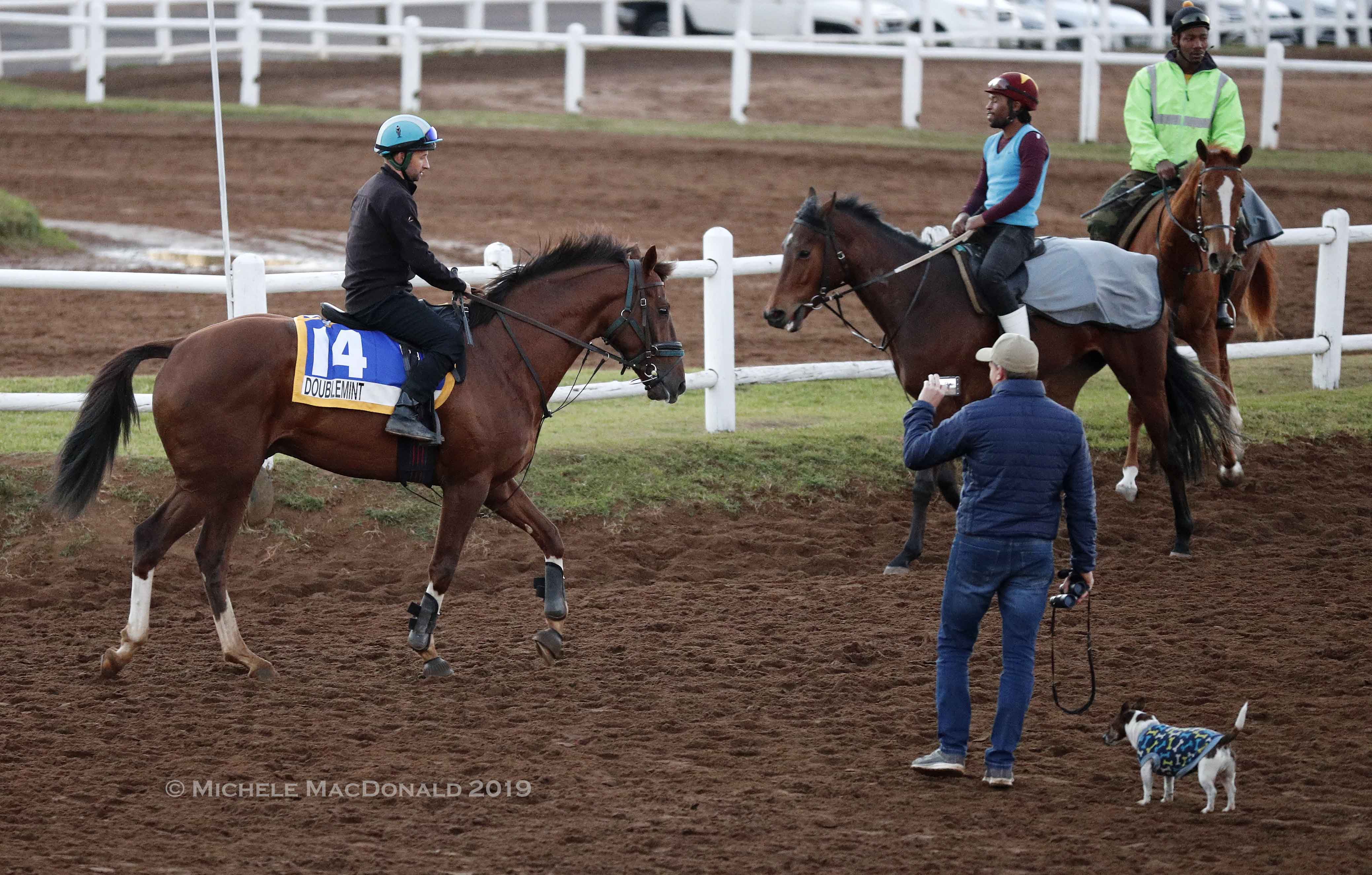 Snaith works on multiple levels. If not in the saddle, he is often seen, as in this picture, recording videos of his horses to send to clients or post on social media. Photo: Michele MacDonald