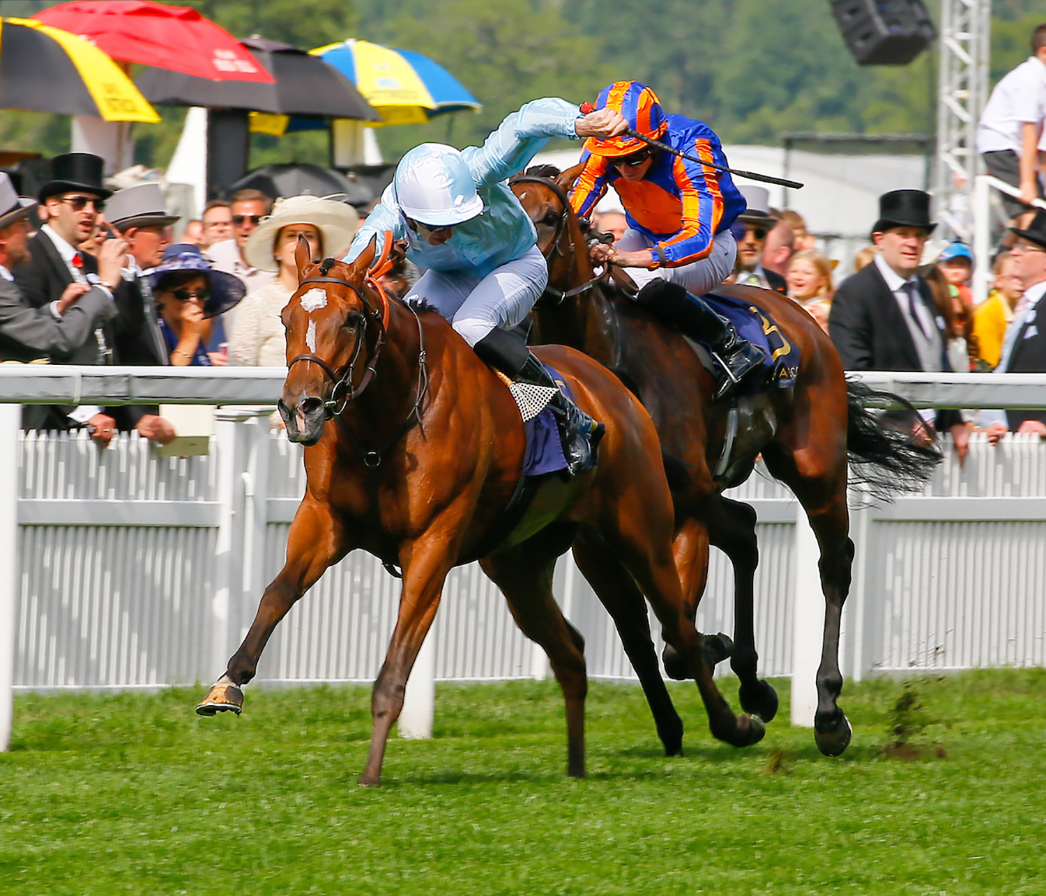 Watch Me, one of a batch of elite performers from the 2017 Arqana August Yearling Sale catalogue, defeats dual Guineas heroine Hermosa in the Coronation Stakes at Royal Ascot. Photo: focusonracing.com