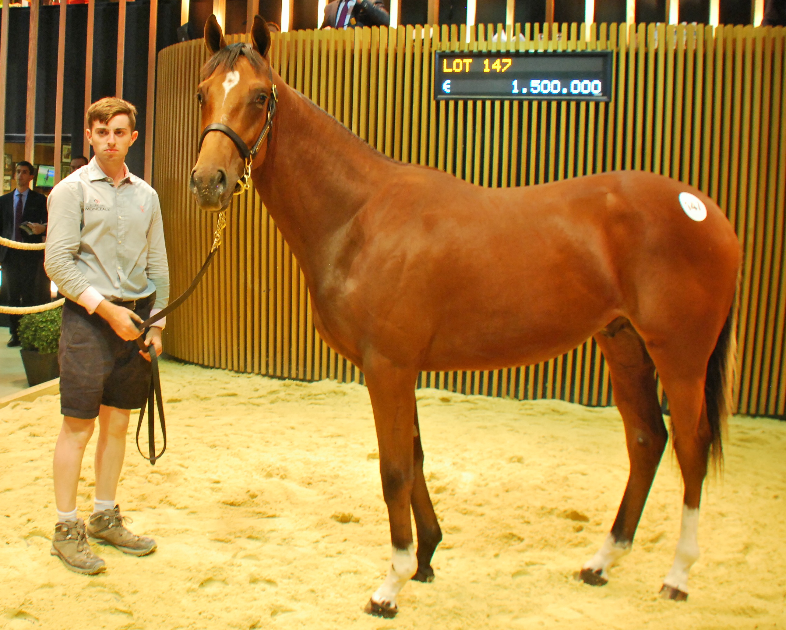 This Galileo colt out of Prudente went to Japanese trainer Mitsu Nakauchida for €1.5 million, the second highest price of the sale. Photo: John Gilmore