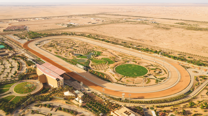 King Abdulazis racetrack in Riyadh, where the Saudi Cup card will be staged. The photo was taken before work on the turf track began