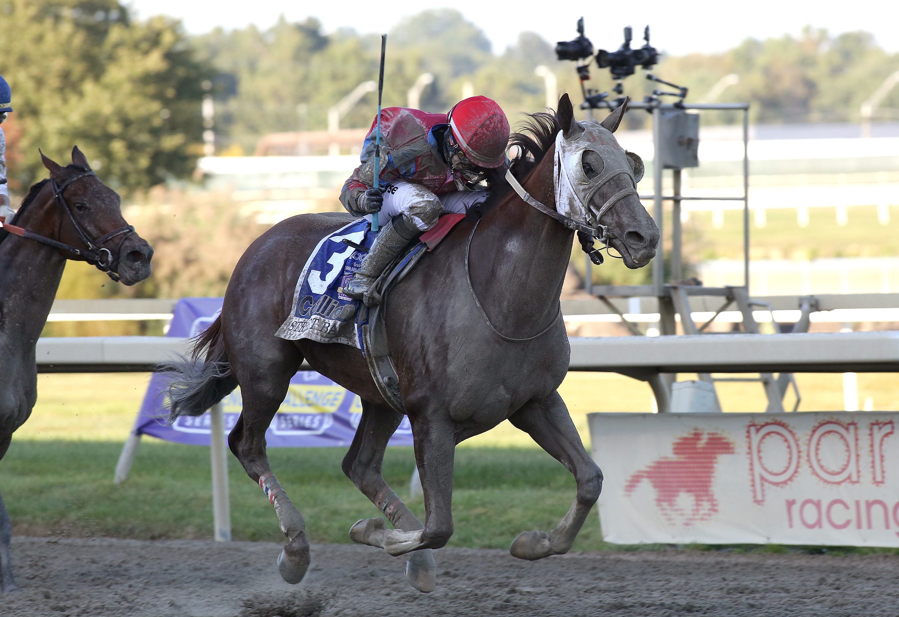 Street Band and Sophie Doyle going clear in the Cotillion. Photo: Taylor Ejdys/EQUI-PHOTO