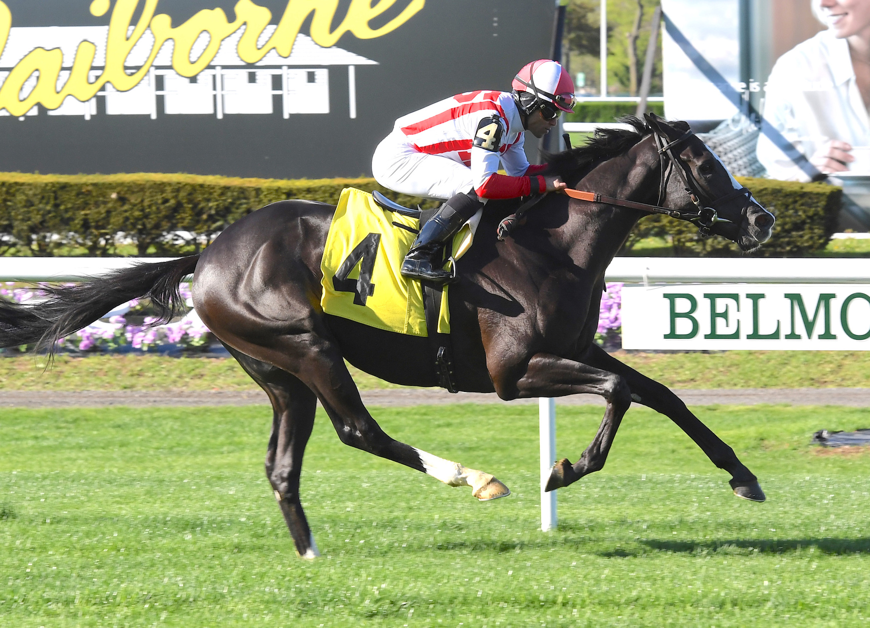 Value Proposition, a highly regarded winner of two of his three starts, was sourced for 400,000 guineas out of the draft of his breeder, Meon Valley Stud. Photo: NYRA.com