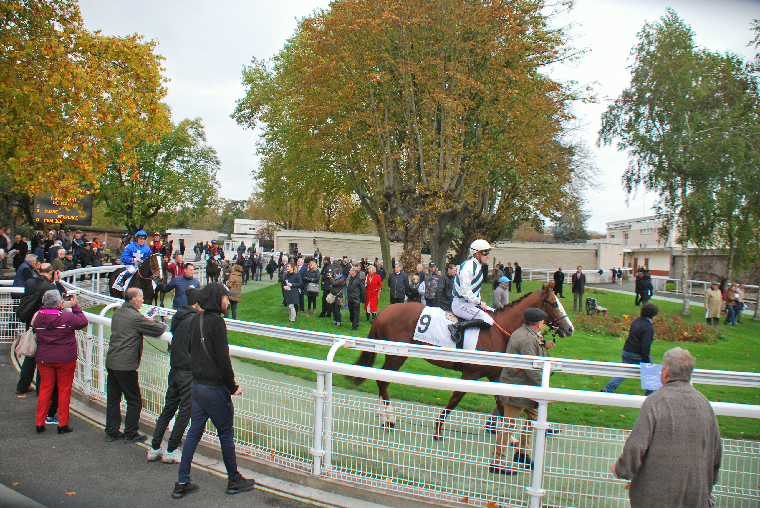 The parade ring at Maisons-Laffitte is one of the best features of the racecourse. Photo: John Gilmore