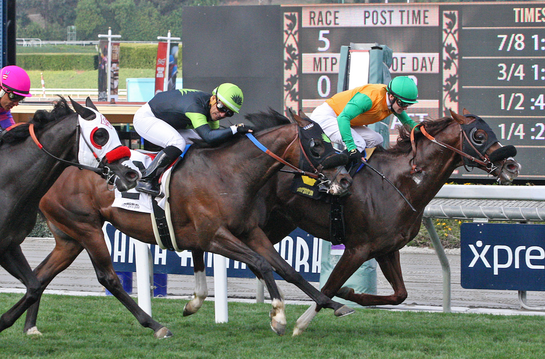 Standout moment: Om wins the Thunder Road Stakes at Santa Anita in February 2018. Photo: Emily Shields