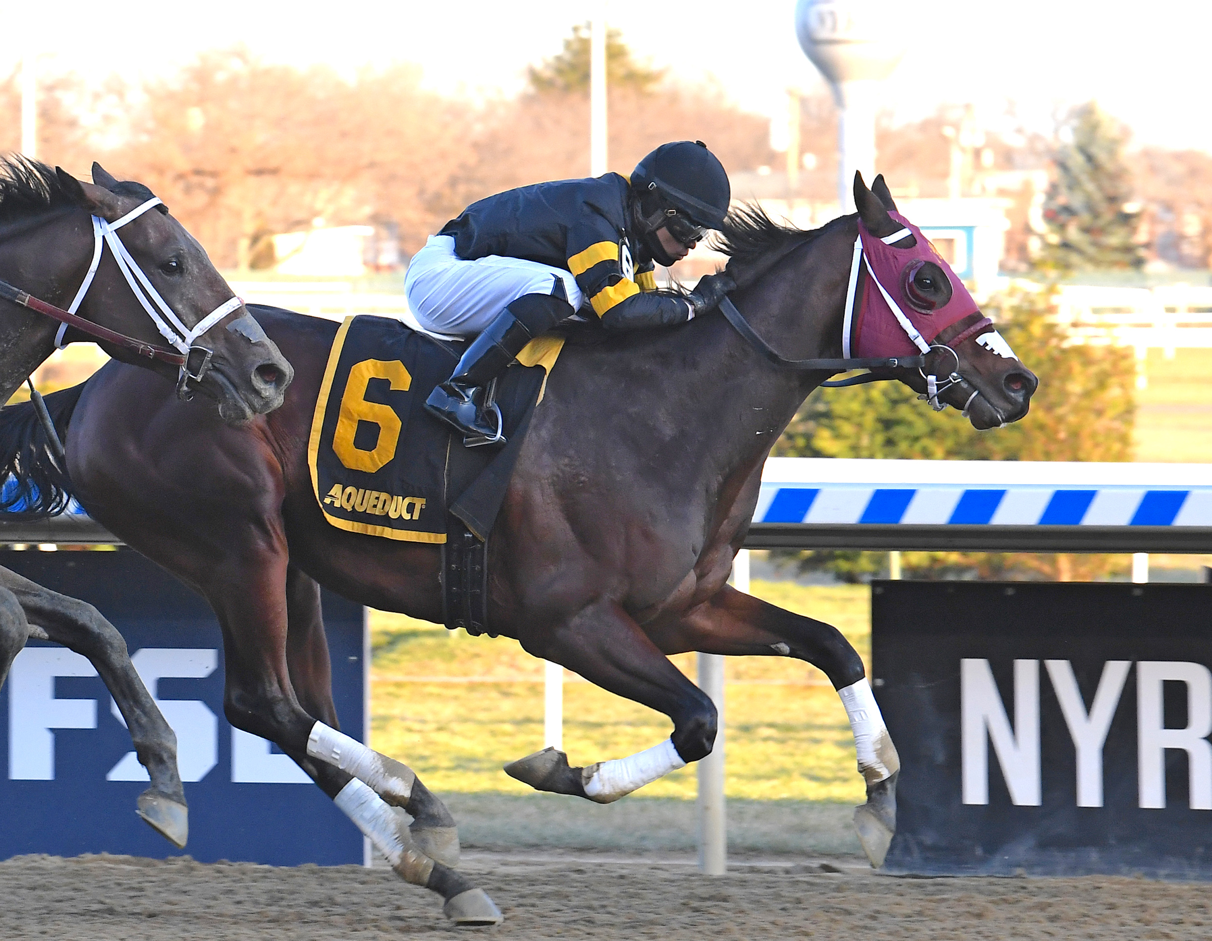 Derby possible: Shotski (Luis Saez) wins the G2 Remsen at Aqueduct last month for trainer Jerry O’Dwyer. Photo: Viola Jasko/NYRA.com