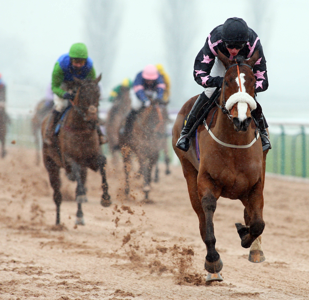 Promising rider: Brian Toomey winning a National Hunt flat race at Southwell in 2010 on Reverend Green. Photo: Dan Abraham/focusonracing.com