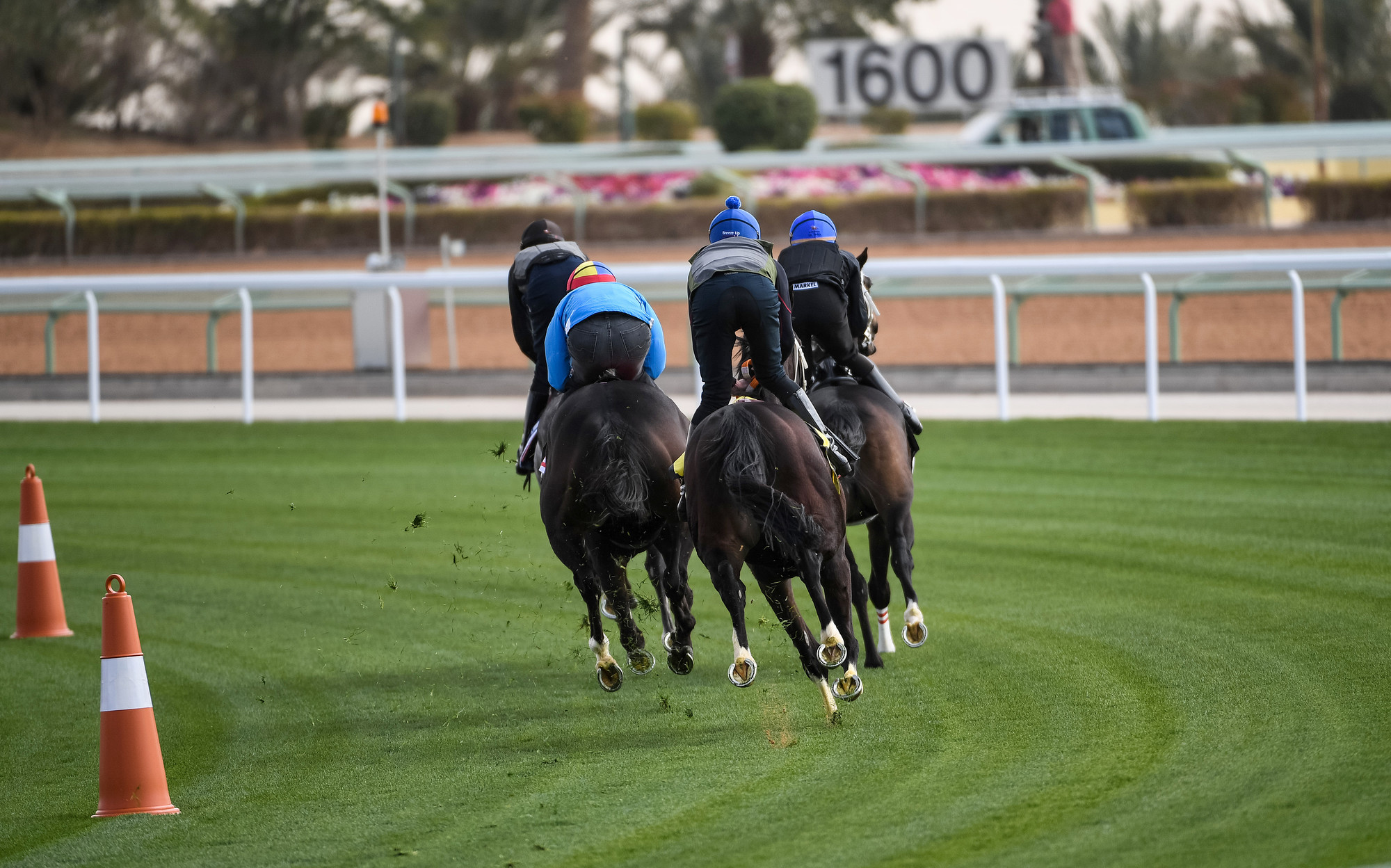 Handling well: “All four of us were in agreement that it was a fair track with genuine good-to-firm ground,” William Buick said after the trial. Photo: Jockey Club of Saudi Arabia