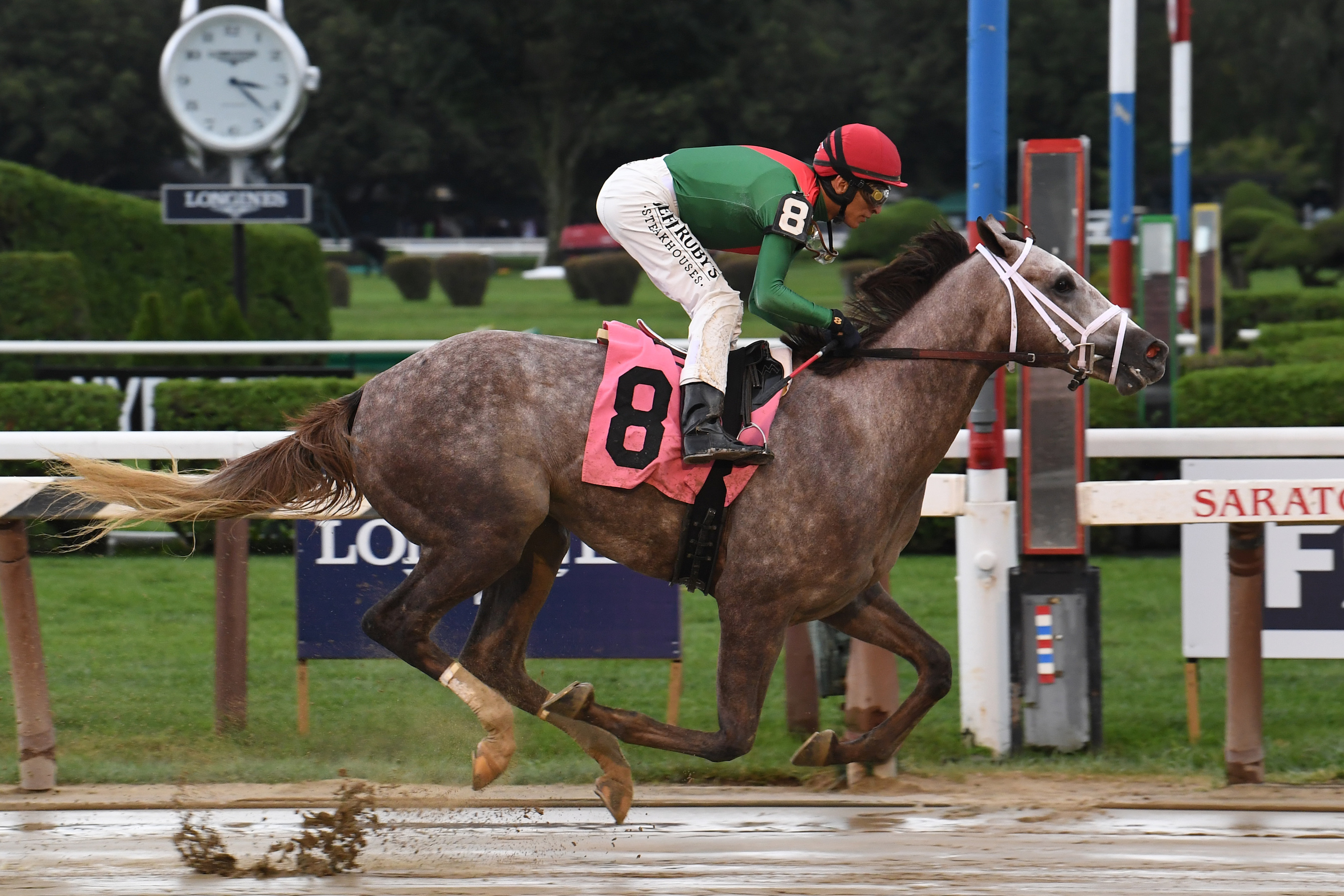 Gouverneur Morris: Team Valor International picked up the Kentucky Derby prospect at Fasig Tipton’s breeze-up sale last year. Photo: NYRA.com