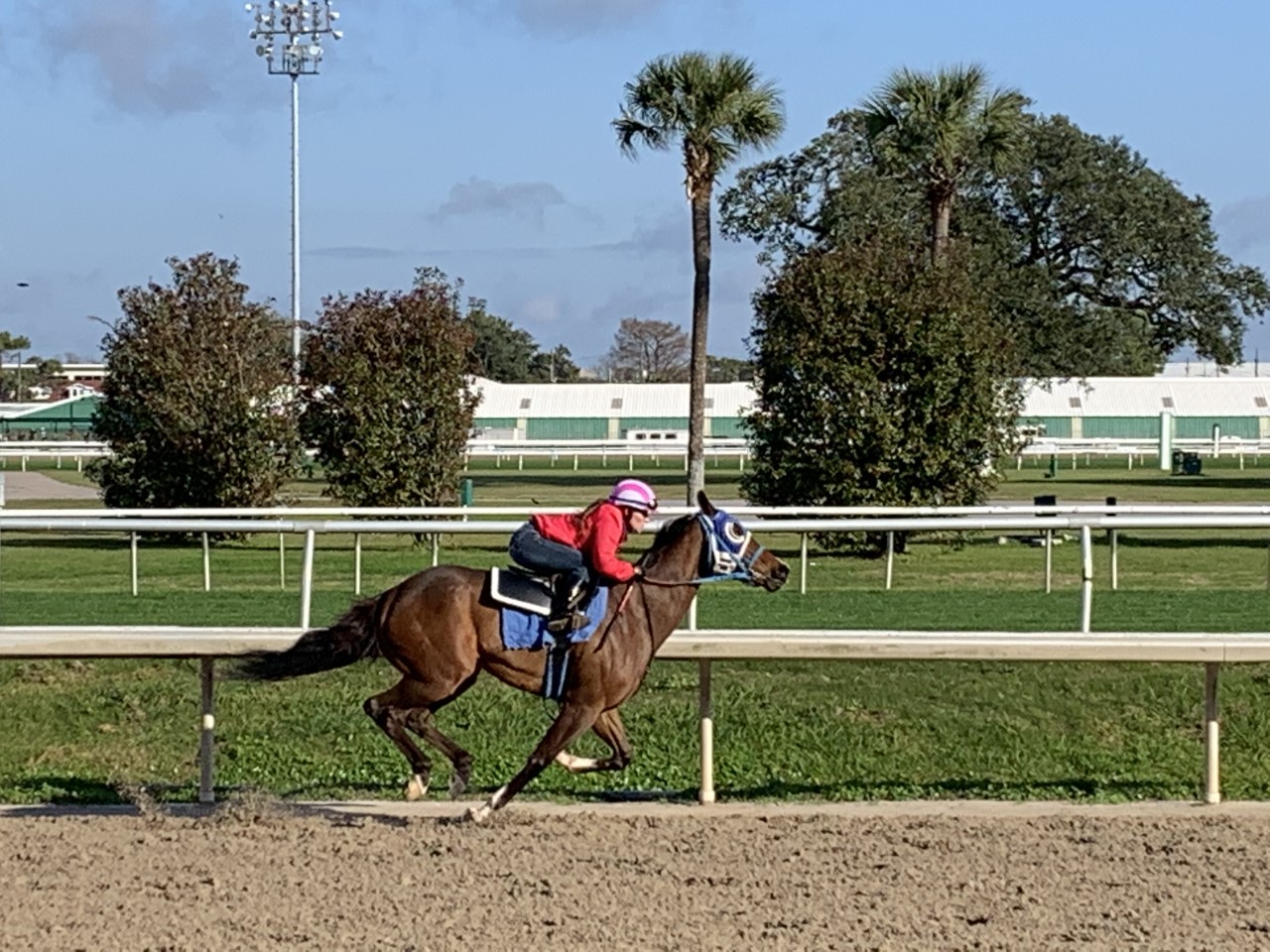 On track for success: Erica Murray riding work at Fair Grounds, where she has ridden 14 winners at the current meet. Photo: Patrick Gilligan