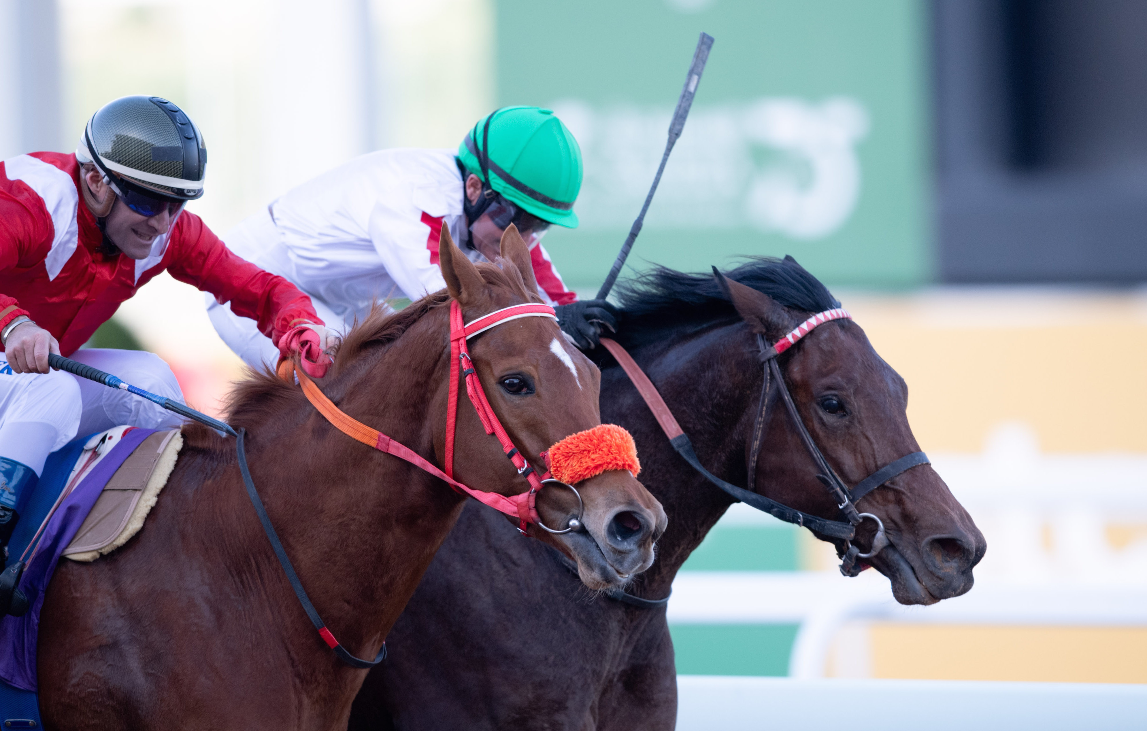 Lisa Allpress (far side) just gets up on the inside of Olivier Peslier to record her history victory aboard Matmon. Photo: Jockey Club of Saudi Arabia