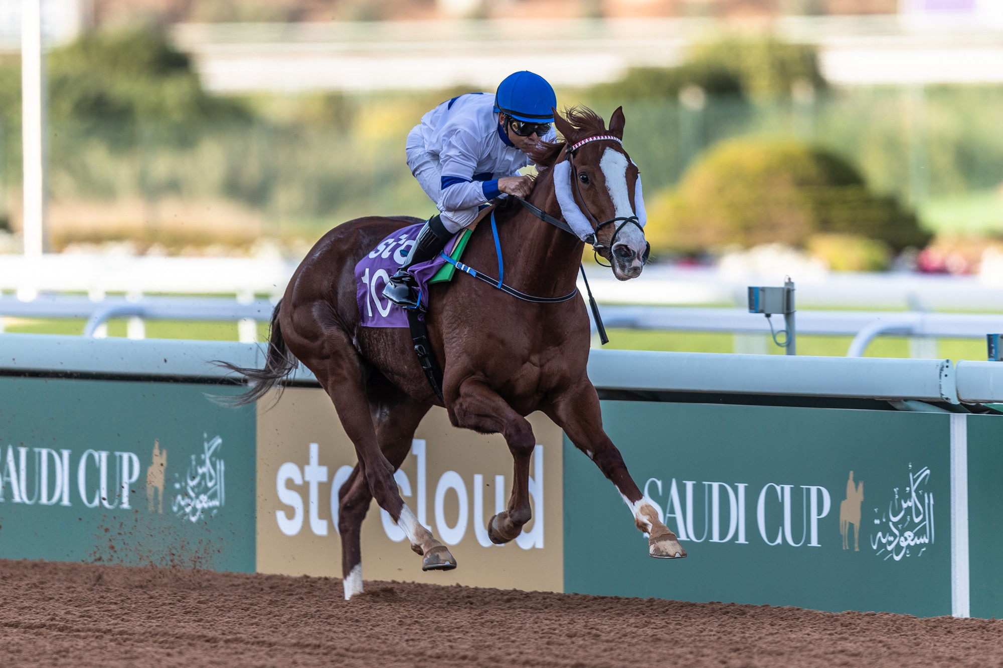 Mike Smith notching his second win in the four-races on the locally-trained Sun Hat. Photo: Jockey Club of Saudi Arabia