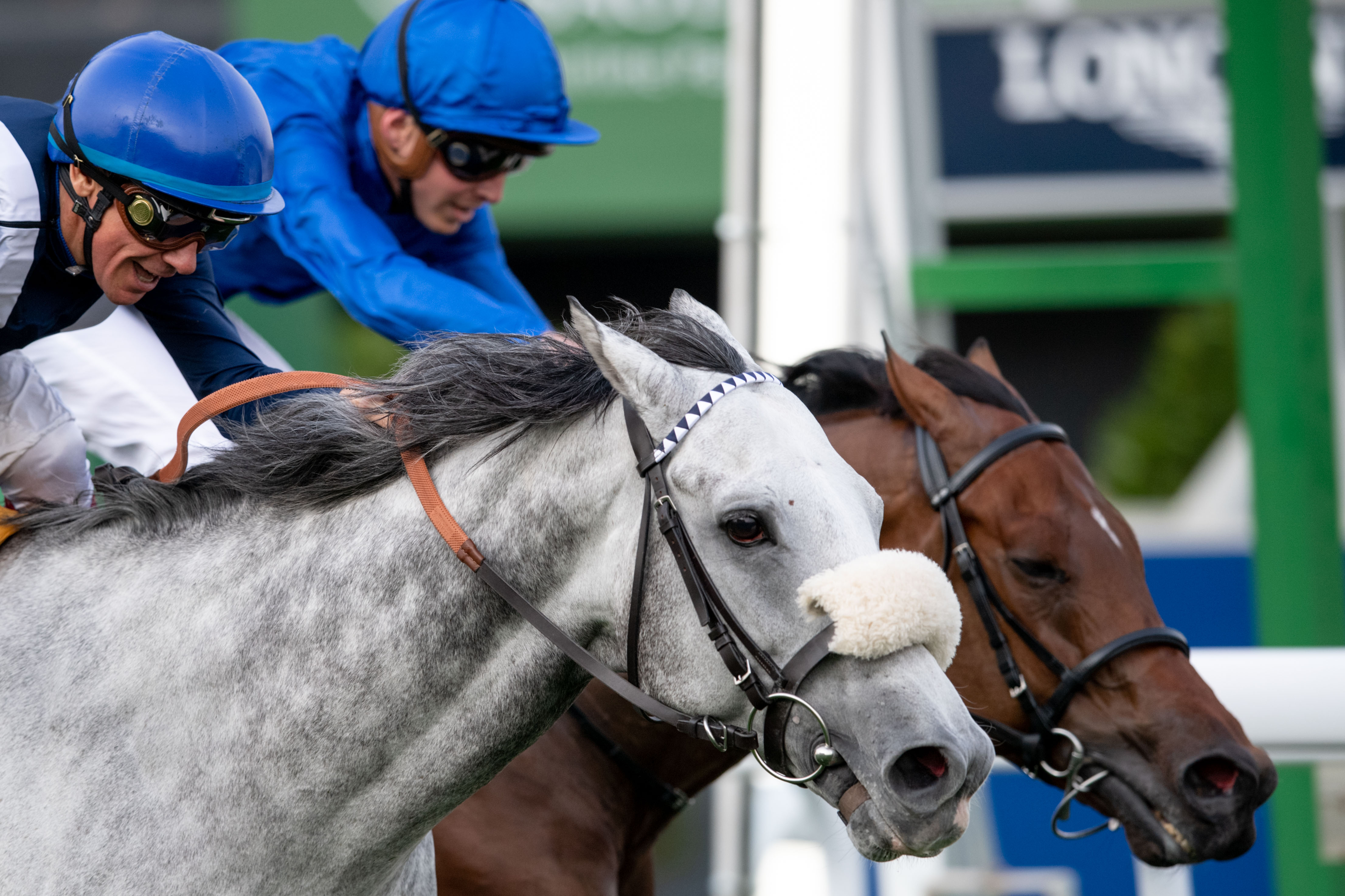 Head to head: Frankie Dettori and the grey Dark Power just get the better of James Doyle and Mubtasim in the $1m stc 1351 Turf Sprint. Photo: Jockey Club of Saudi Arabia