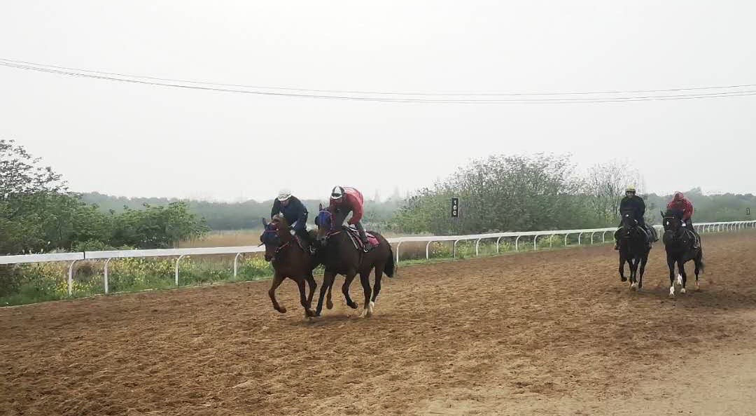 A gallop at the training centre in Wuhan