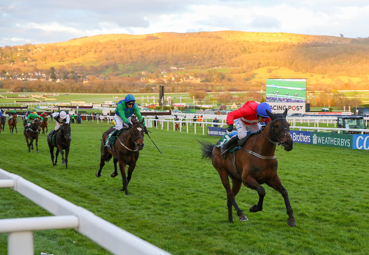 Ferny Hollow makes it a G1 double on the second day of the Cheltenham Festival with this impressive success in the Weatherbys Champion Bumper. Photo: Mark Cranham/focusonracing.com