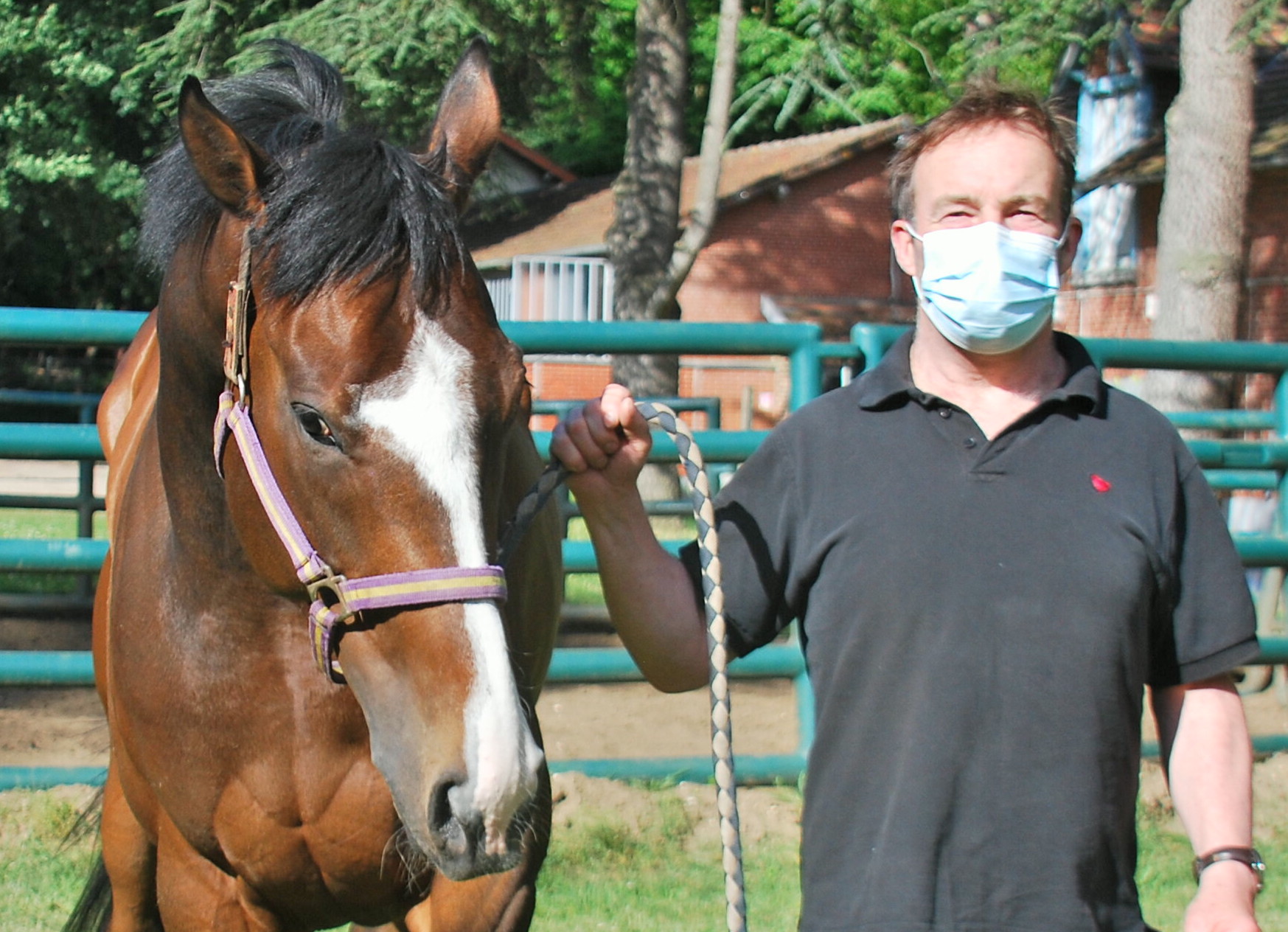 Staying safe: Trainer Andrew Hollinshead with the Brian Dunn-owned Falmouth Light at his stables in Lamorlaye; Photo: John Gilmore