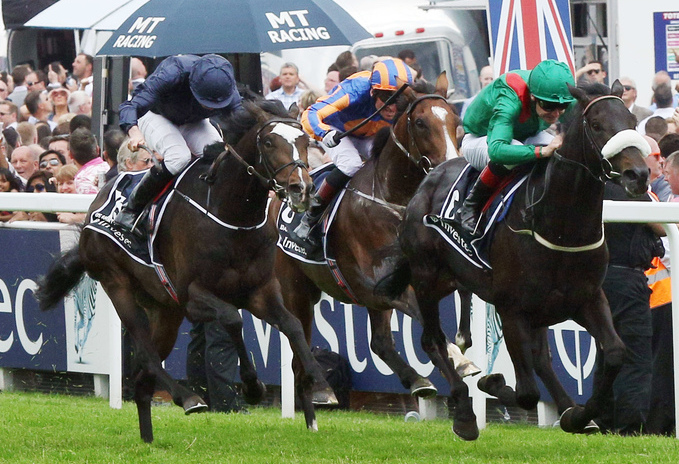 Half a second away: U.S. Army Ranger (dark blue) just can’t quite get to Harzand in the 2016 Derby. Fellow Ballydoyle trainee Idaho (centre) finished third. Photo: Frank Sorge/Racingfotos.com