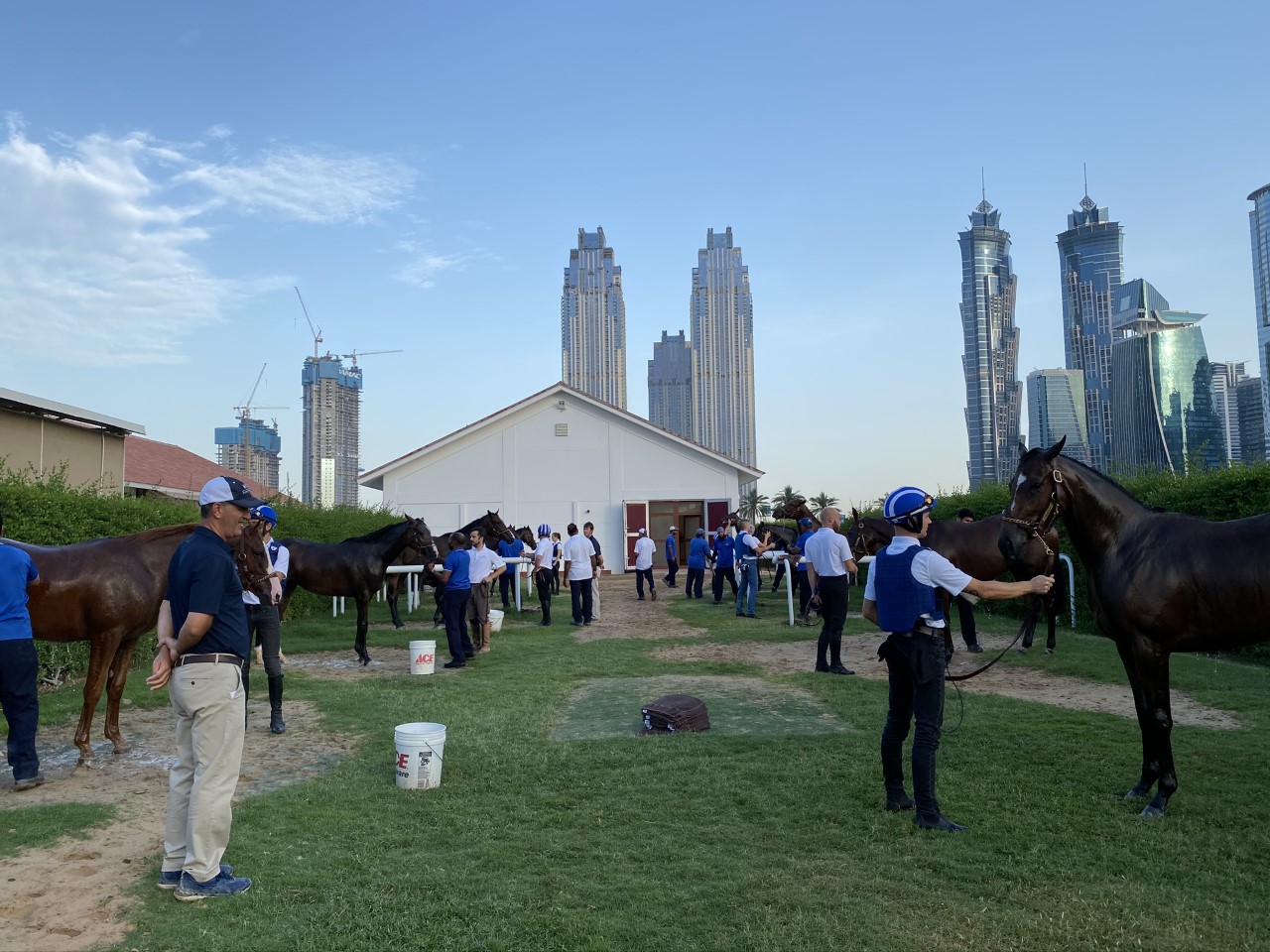 Sheikh Hamdan’s juveniles about to be put through their paces little more than a stone’s throw from downtown Dubai. Photo: Shadwell Racing/Michael Adolphson
