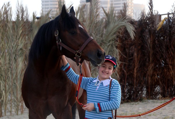 Fate still unknown: above, missing stallion Eavesdropper (a Kingmambo half-brother to AP Indy) pictured with a young visitor to Al Shaab Stud; below, the family German Shepherd Tiger at the stud