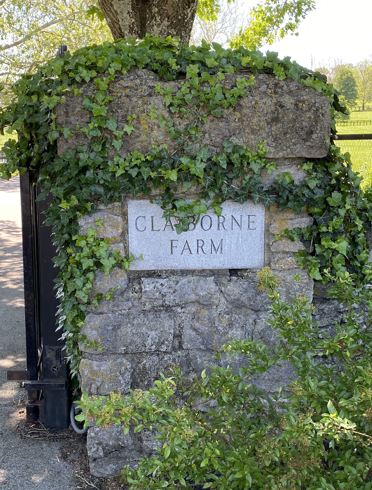 The stallion roll of honor at A.B. Hancock Jr’s Claiborne Farm in Paris, Kentucky, includes Epsom Derby winners Blenheim, Tulyar, Sir Ivor, Nijinsky, Benny The Dip. Photo: Kent Barnes