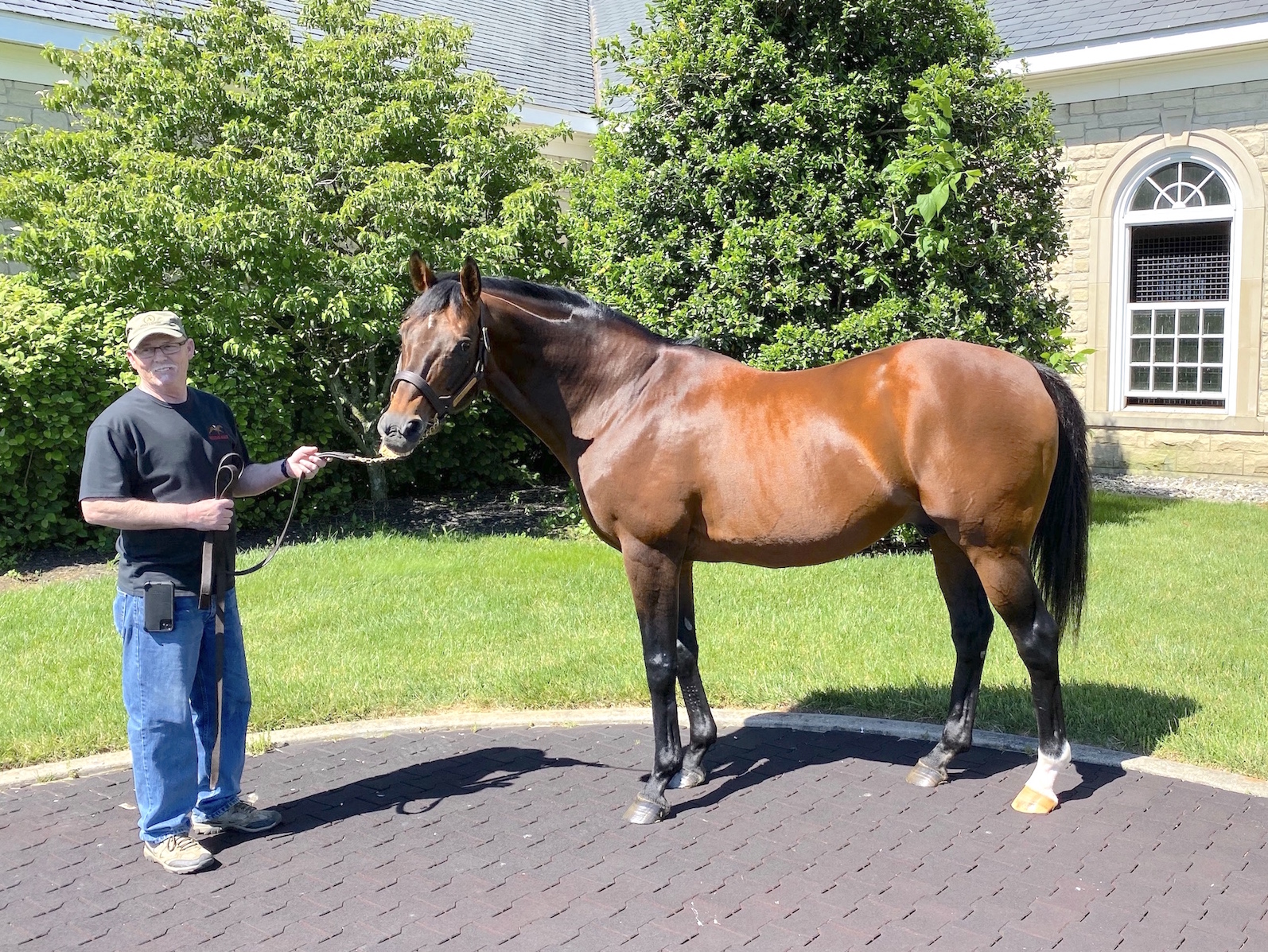 Chequered career: 2004 winner North Light suffered from the growing American bias against middle-distance horses and has moved between Kentucky, Canada, England, Canada again, California and Kentucky again during his stallion years