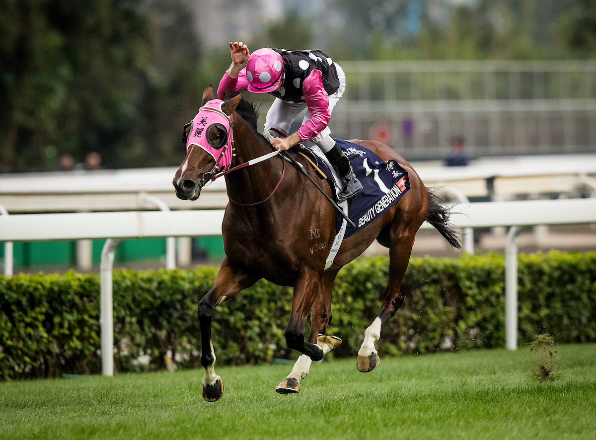 Beauty Generation, who has been winning Hong Kong G1s for the last four seasons, is the territory’s all-time leading money earner. Photo: HKJC