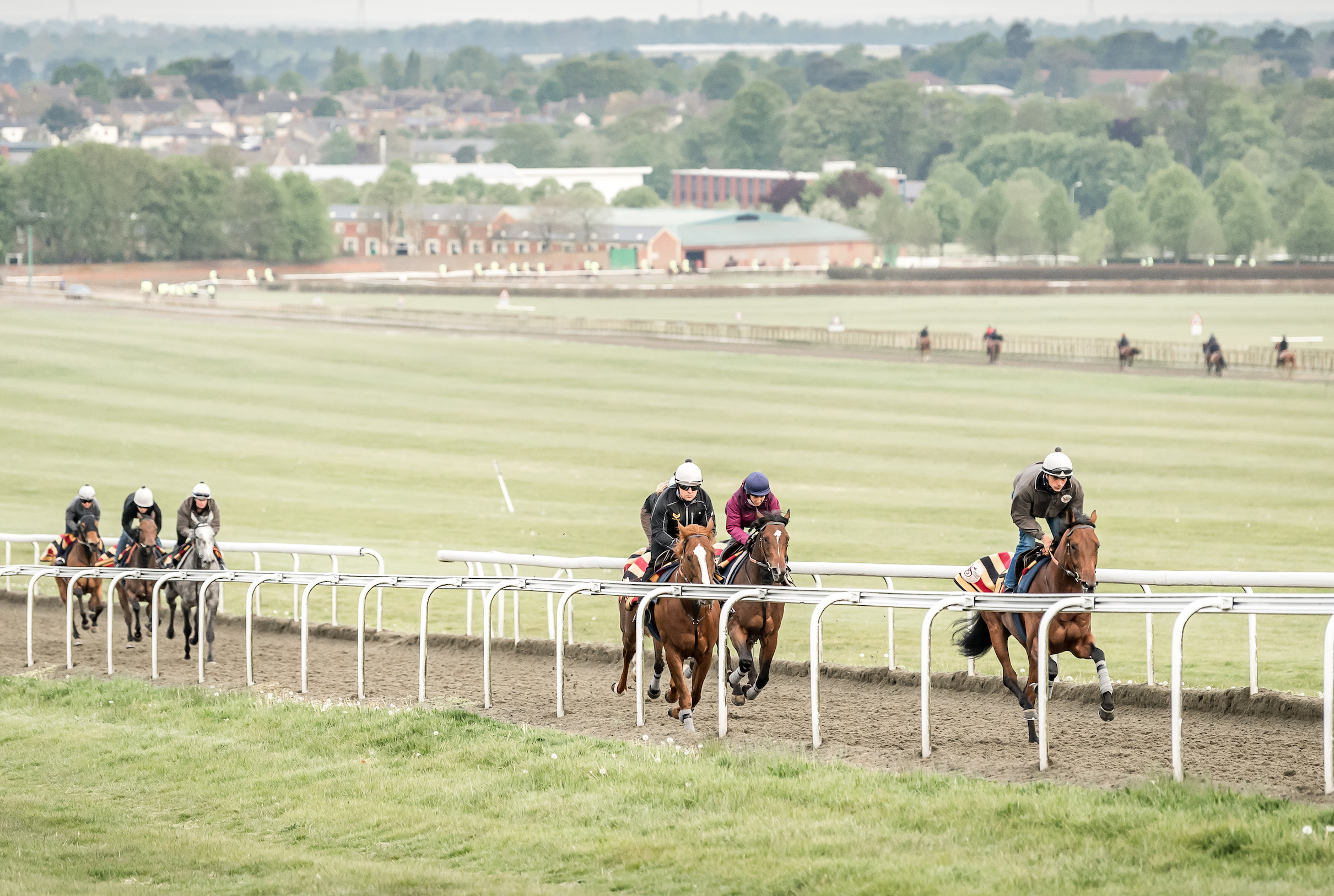 Altogether busier: horses working up the steep Warren Hill gallops in Newmarket. Photo courtesy of Lindsey Devin, Training Ground Executive, Jockey Club Estates
